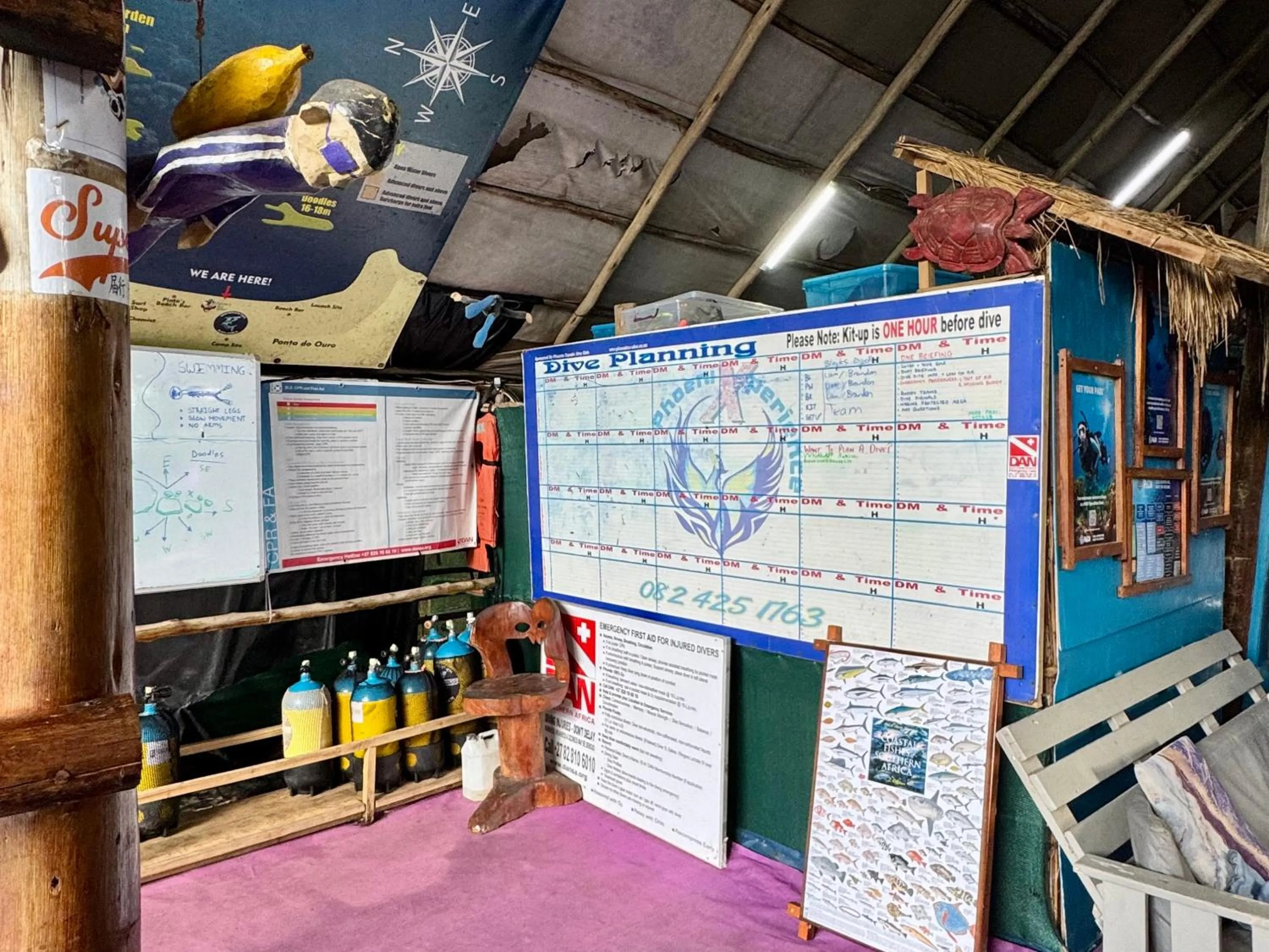 Diving in Underwater Explorer