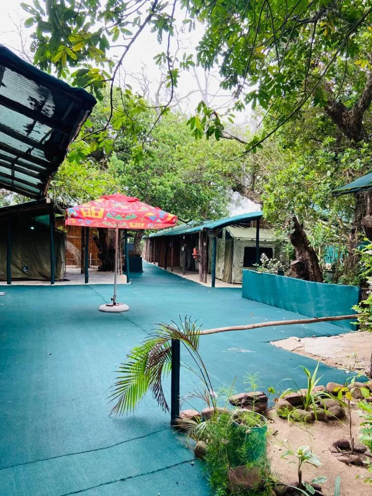 Garden in Underwater Explorer