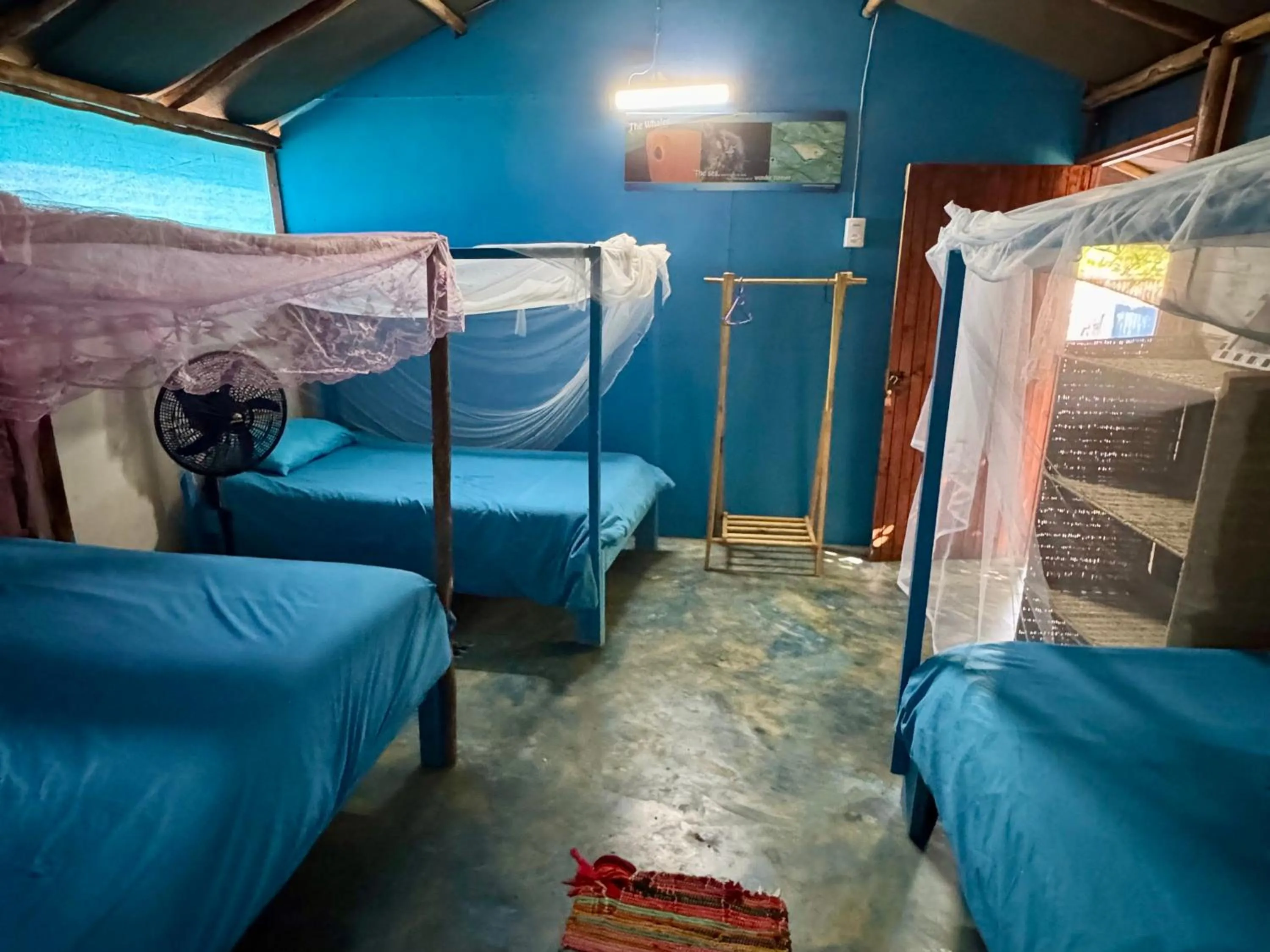 Photo of the whole room, Bed in Underwater Explorer