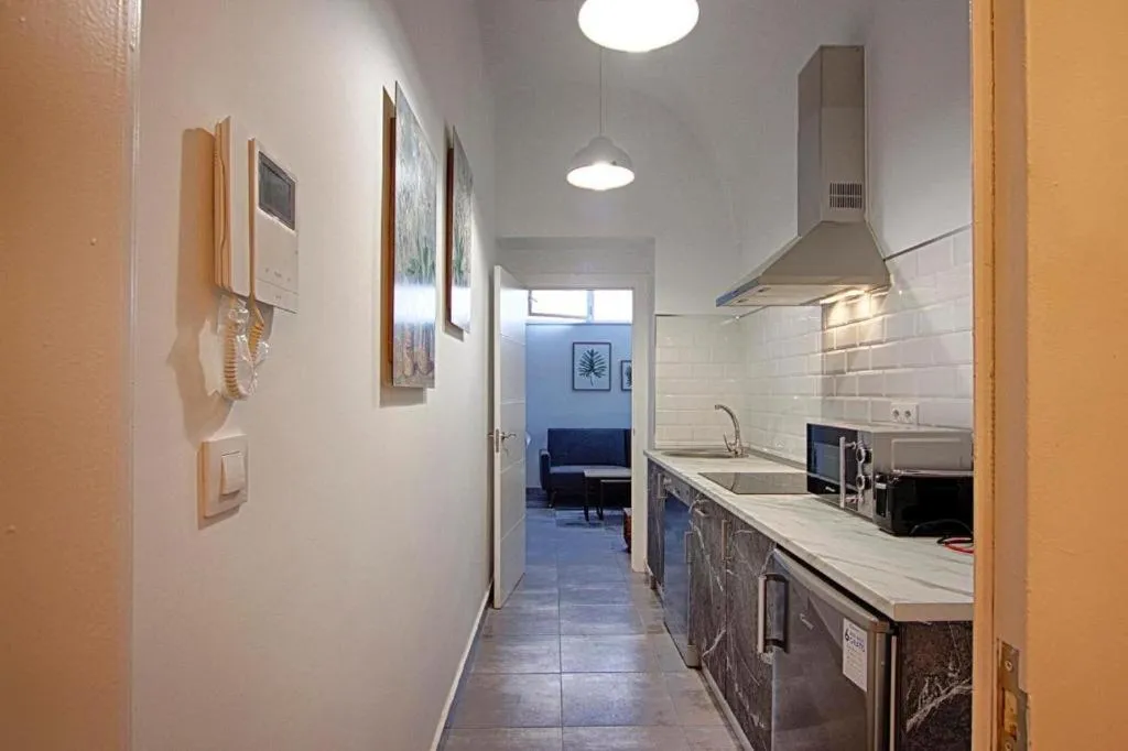 Kitchen or kitchenette in Apartamentos Gladiador