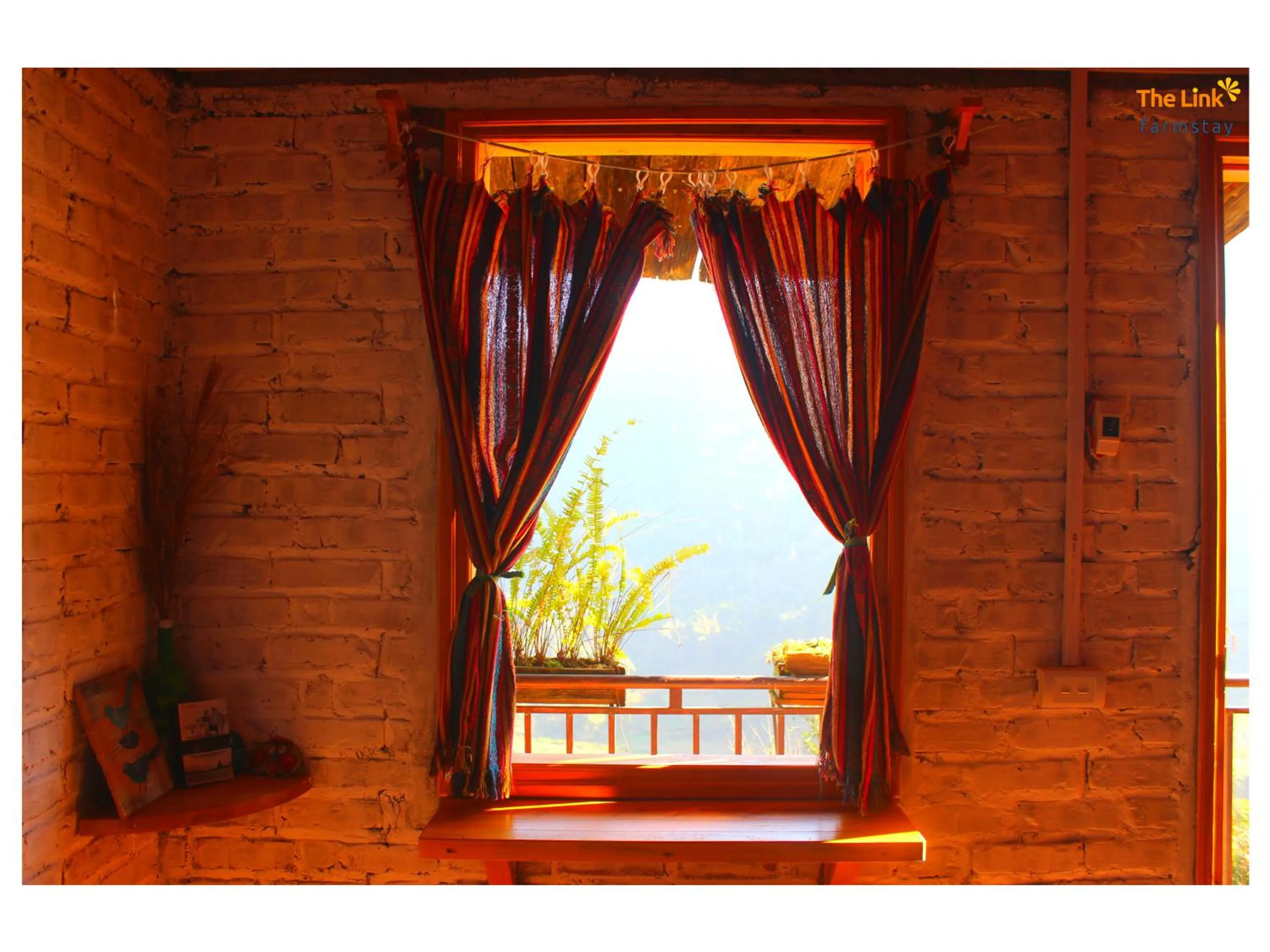 Garden view in The Link farmstay