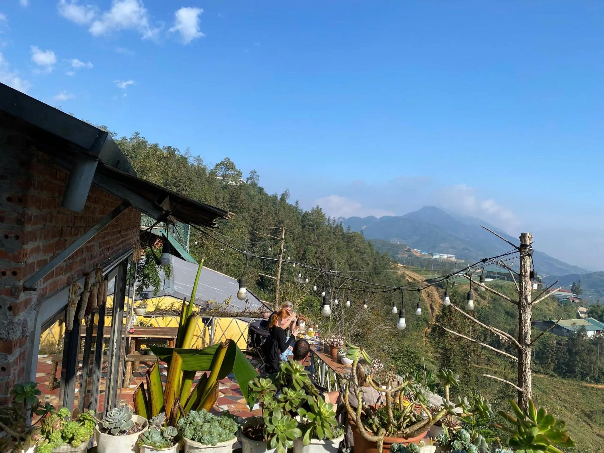 Natural landscape in The Link farmstay