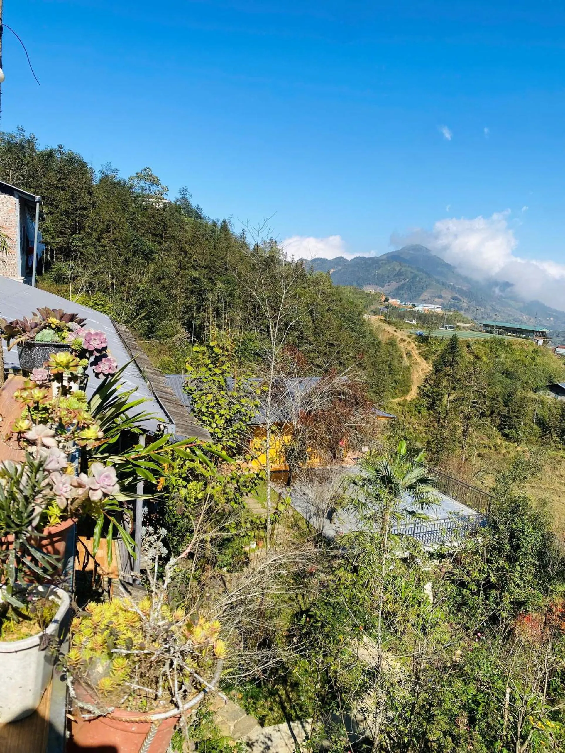 Natural landscape in The Link farmstay