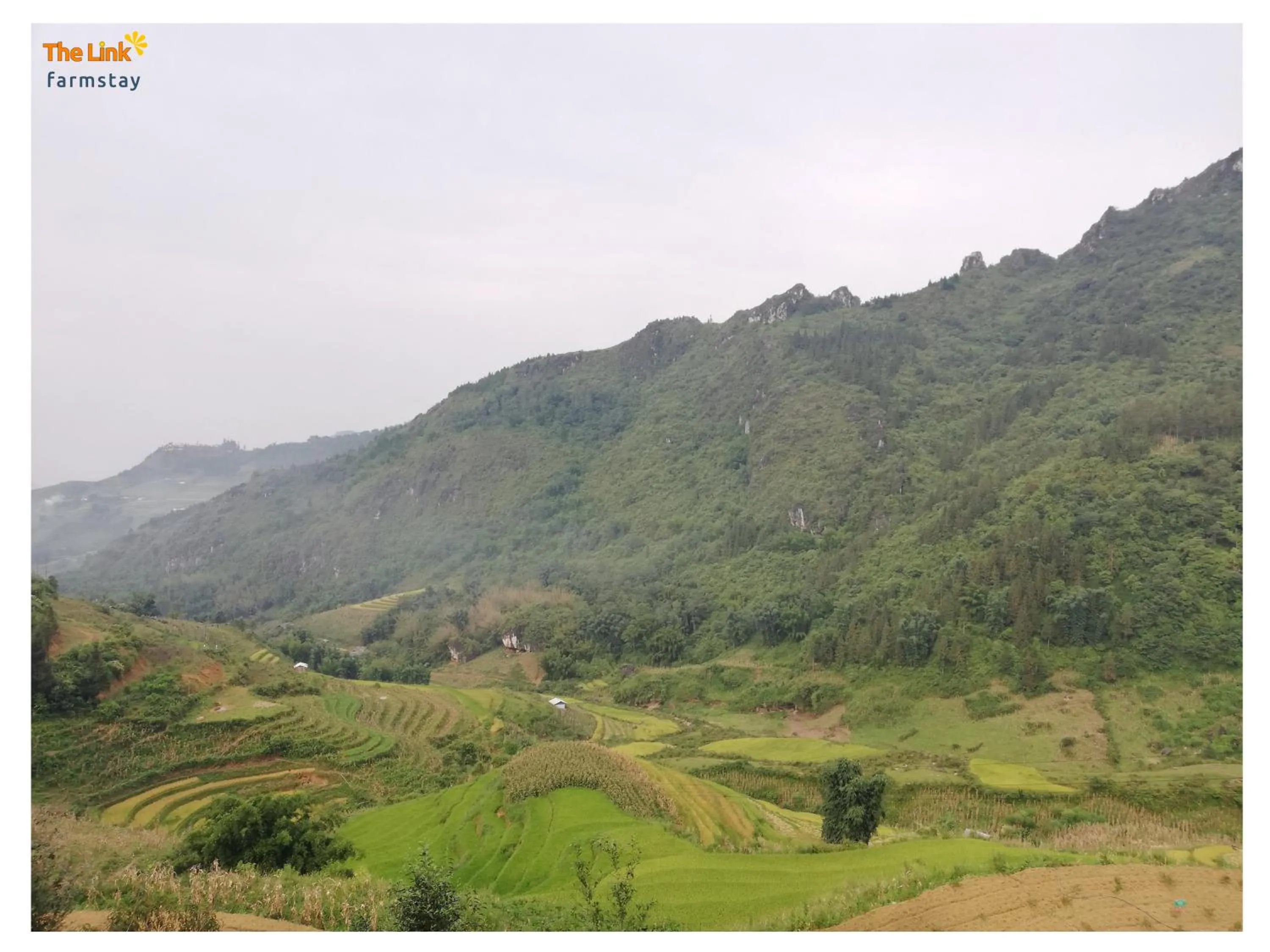 Natural landscape in The Link farmstay