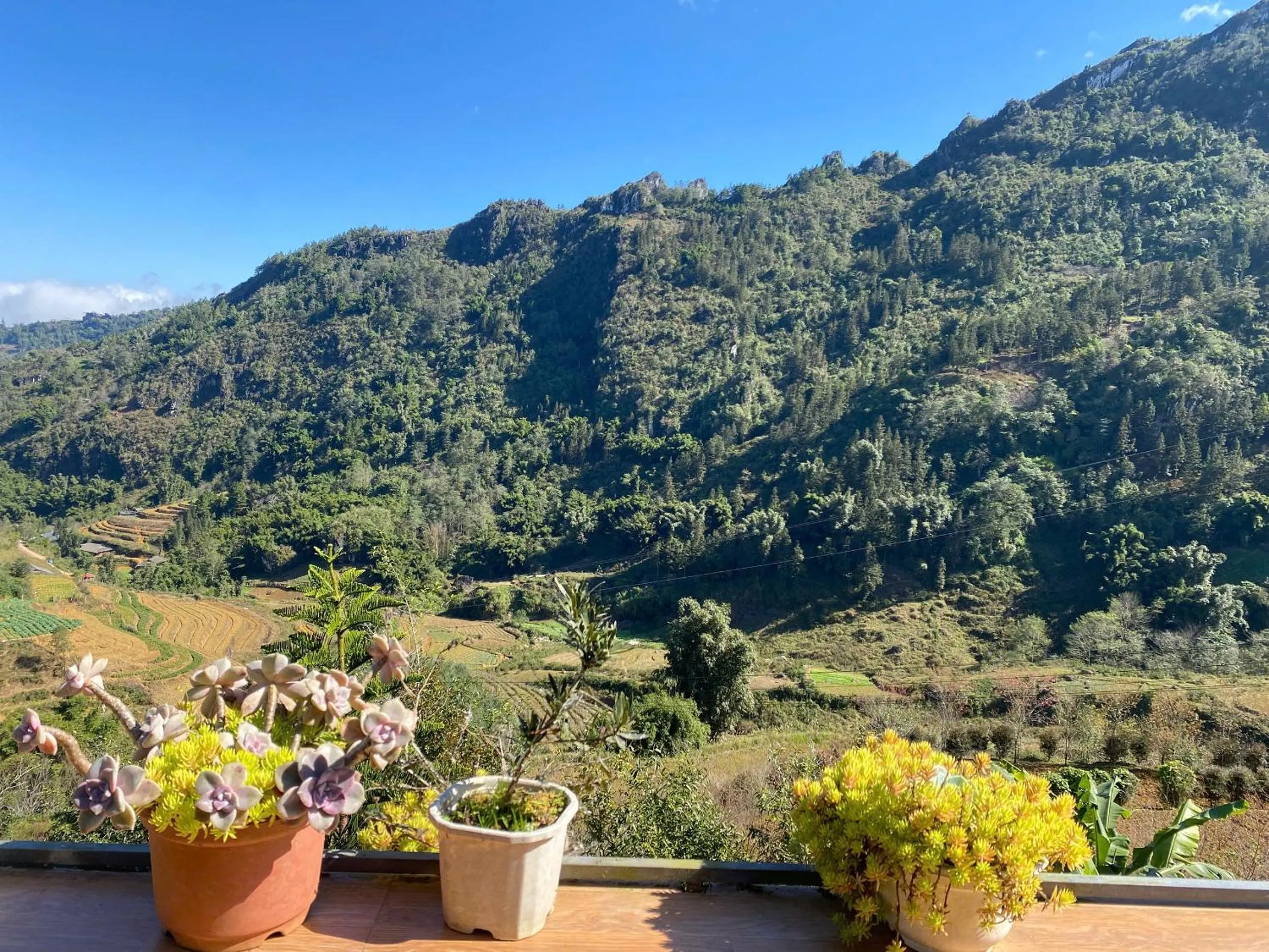 Natural landscape in The Link farmstay