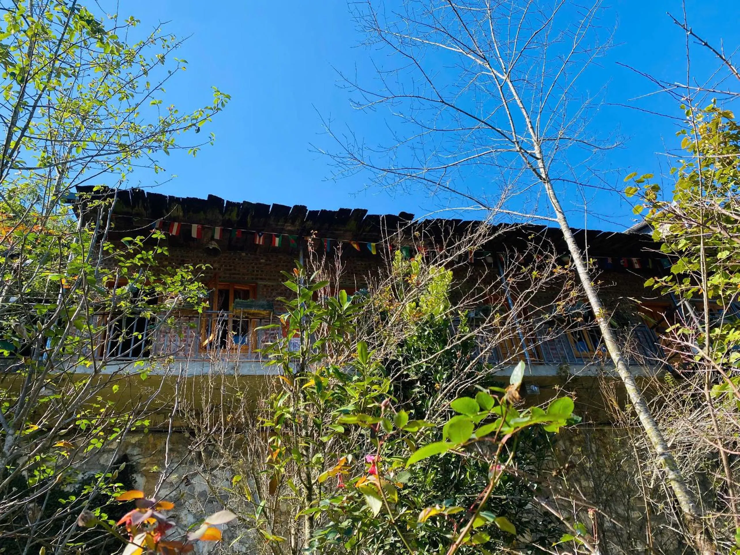 Natural landscape in The Link farmstay