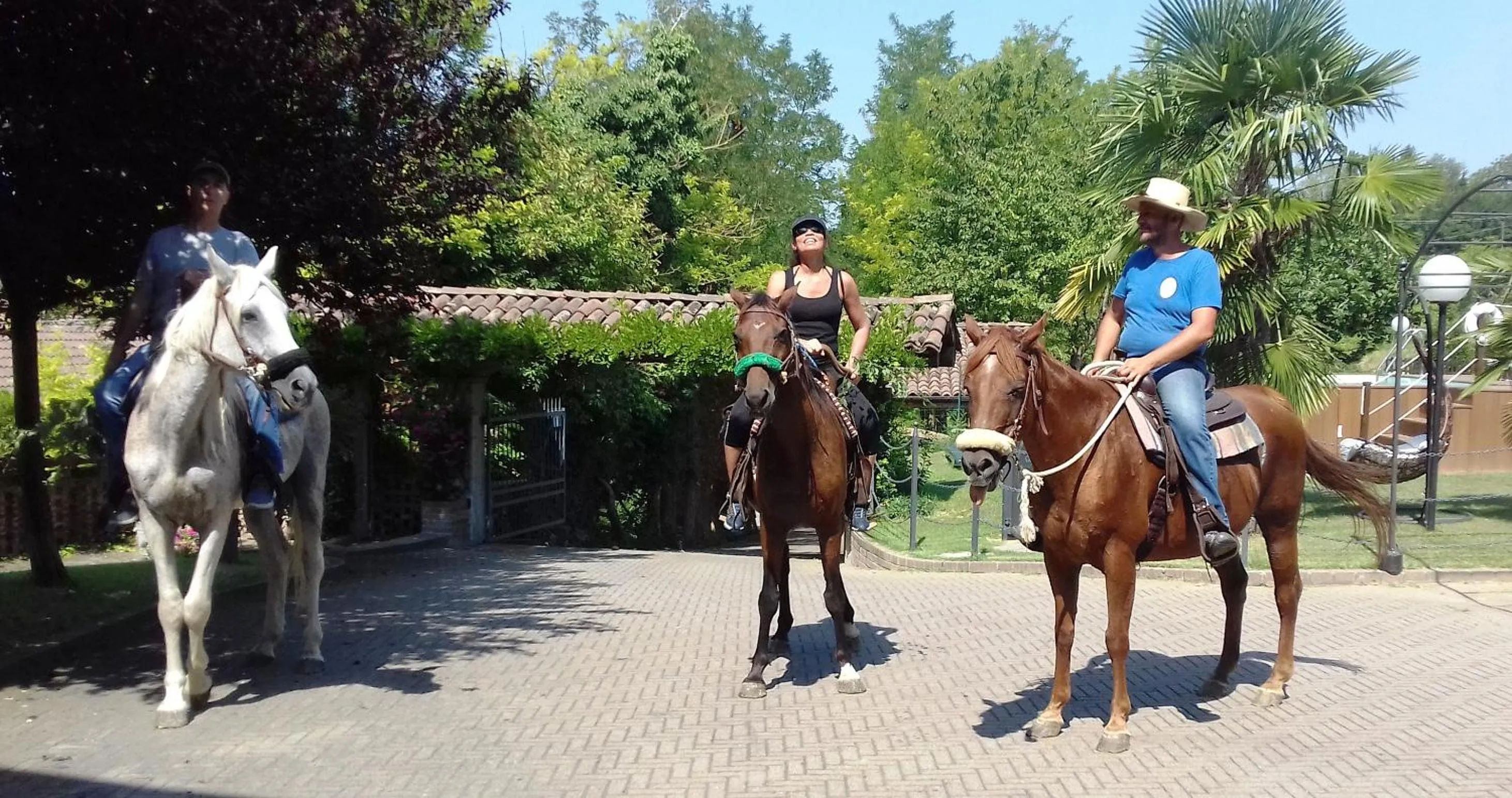 Activities in Bed And Breakfast Olimpia