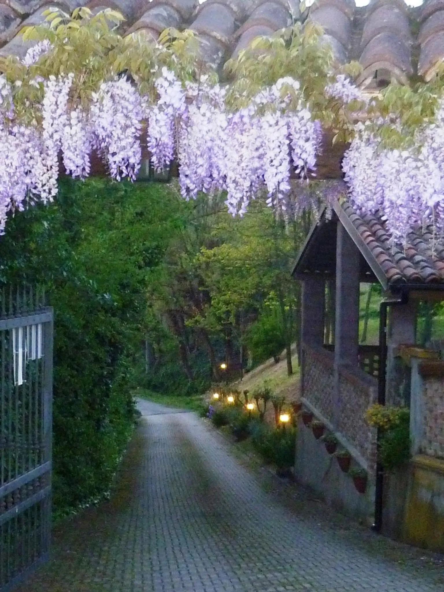 Street view in Bed And Breakfast Olimpia