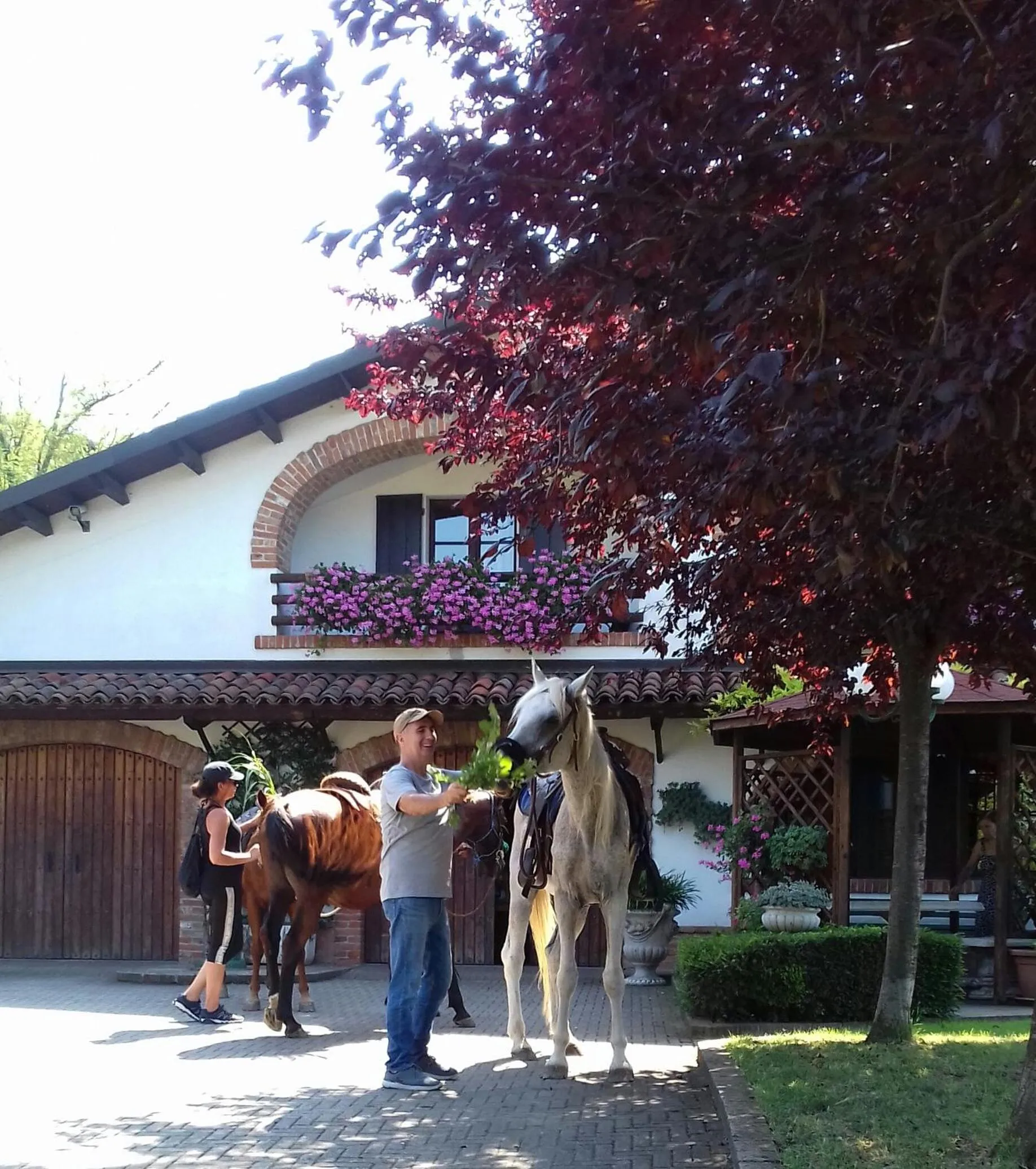 People in Bed And Breakfast Olimpia