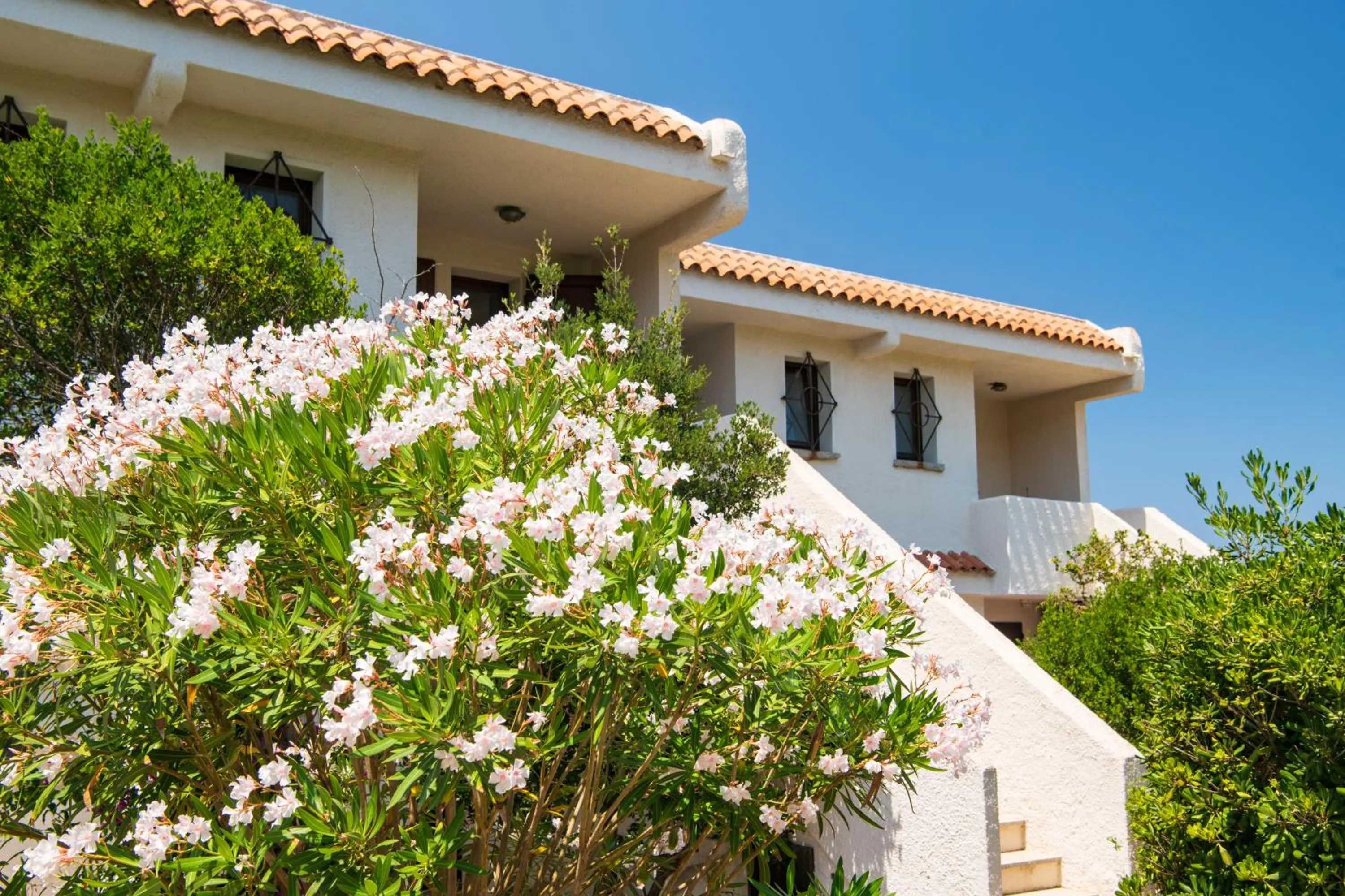 Property building in Residence Baia Santa Reparata