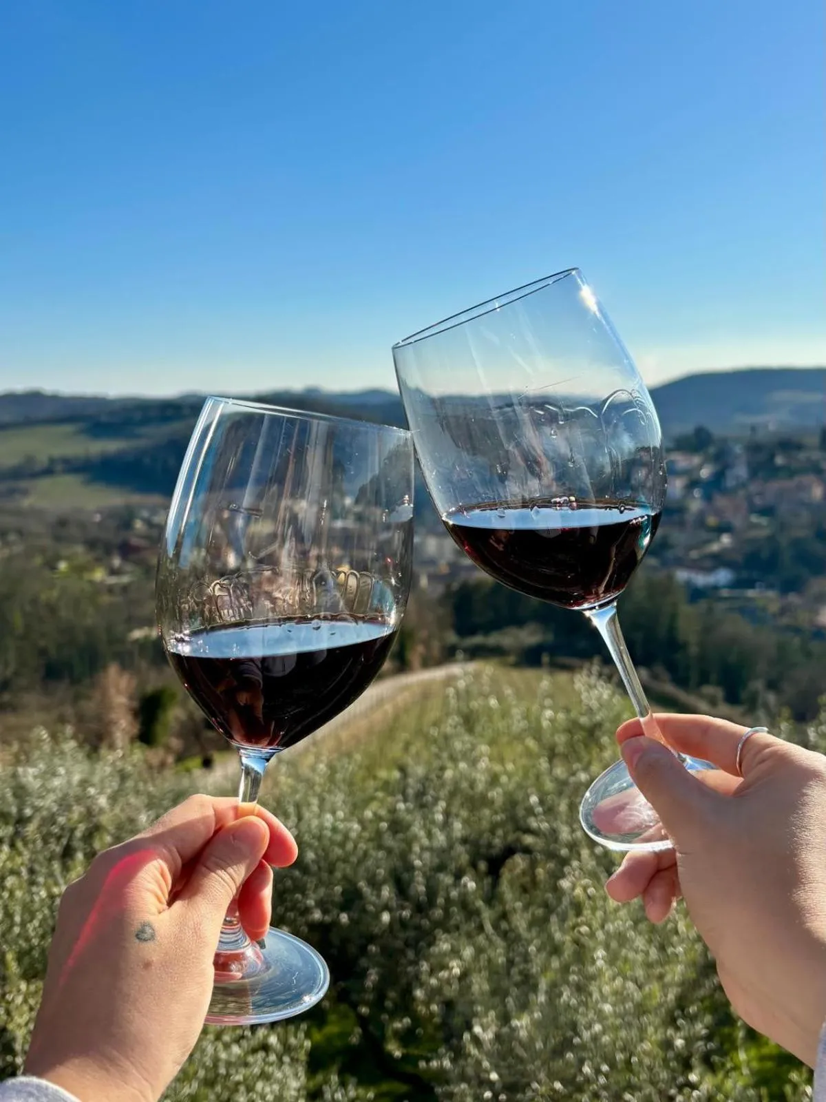 City view in Capannelle Wine Resort