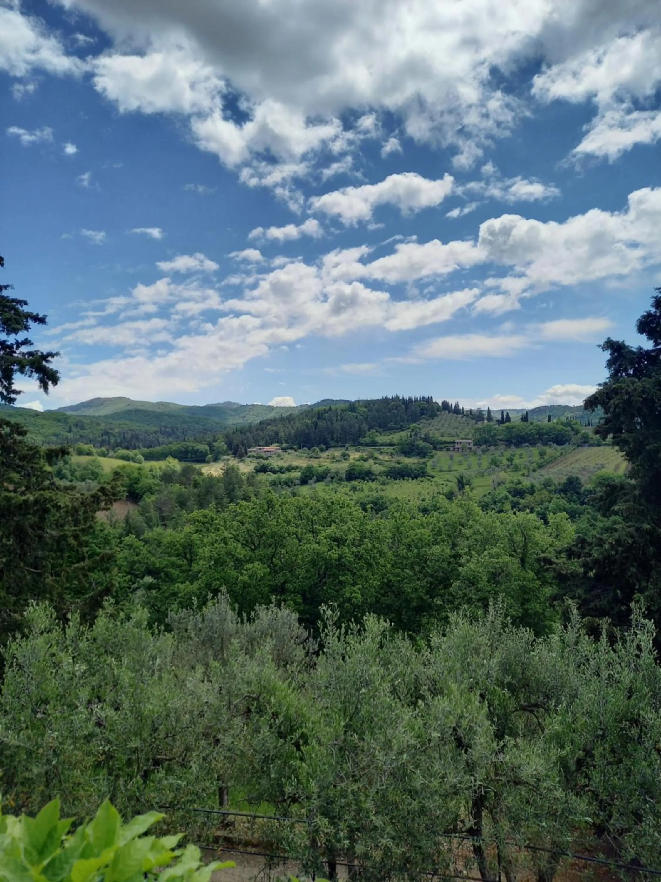 View (from property/room) in Capannelle Wine Resort