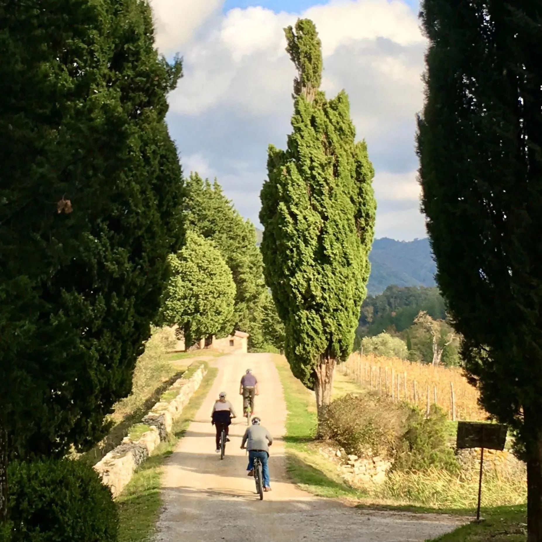 Natural landscape in Capannelle Wine Resort