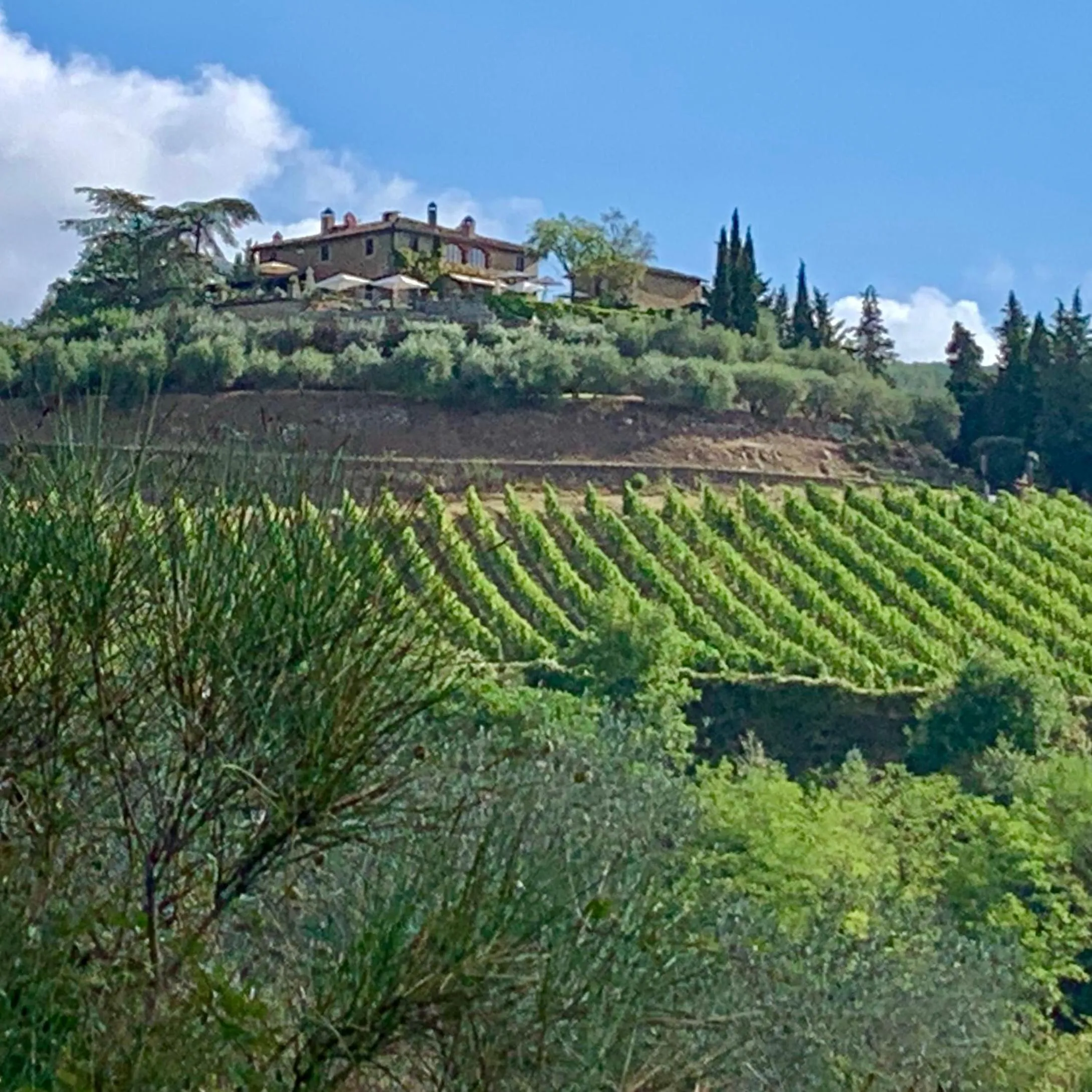 Property building in Capannelle Wine Resort