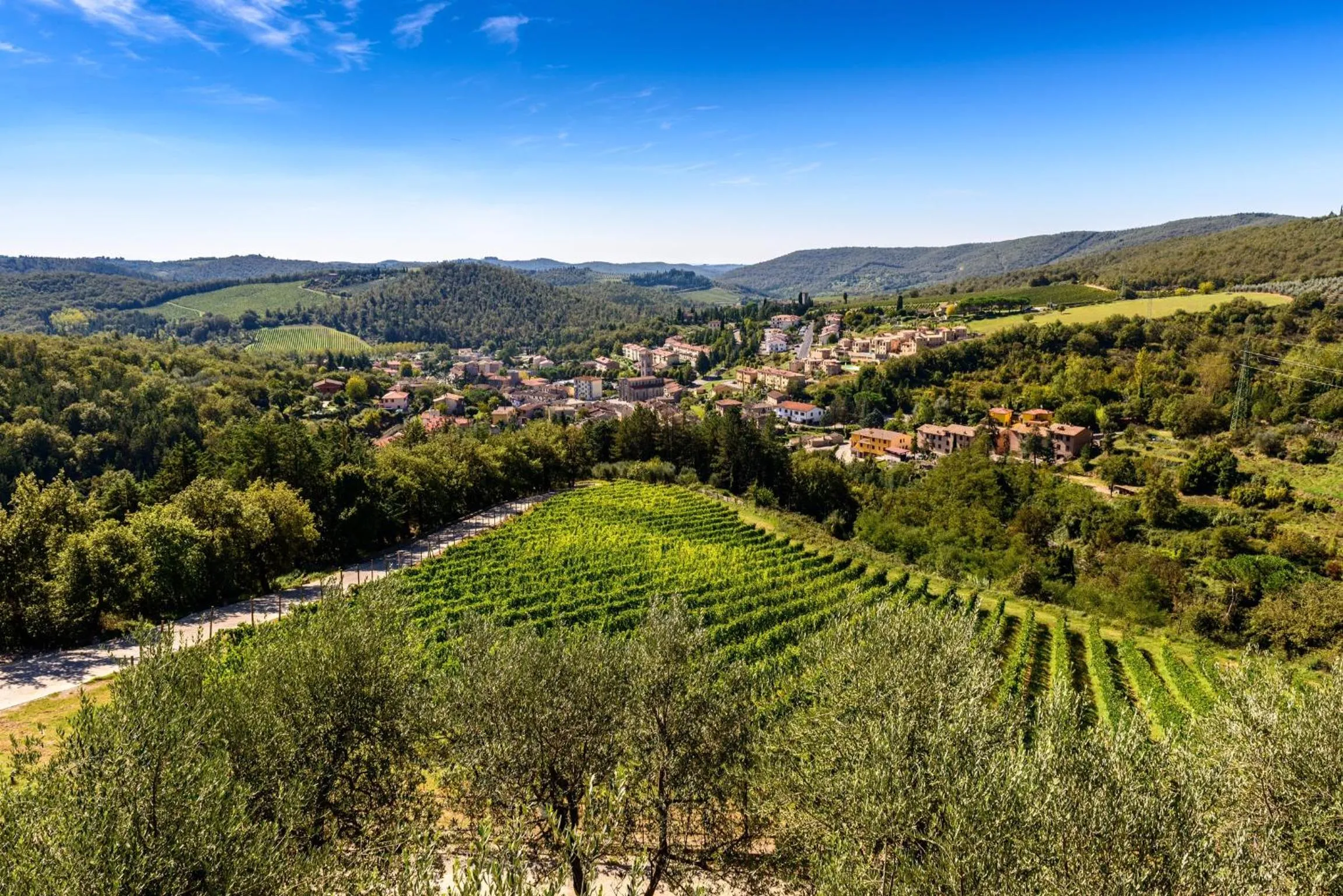 City view in Capannelle Wine Resort