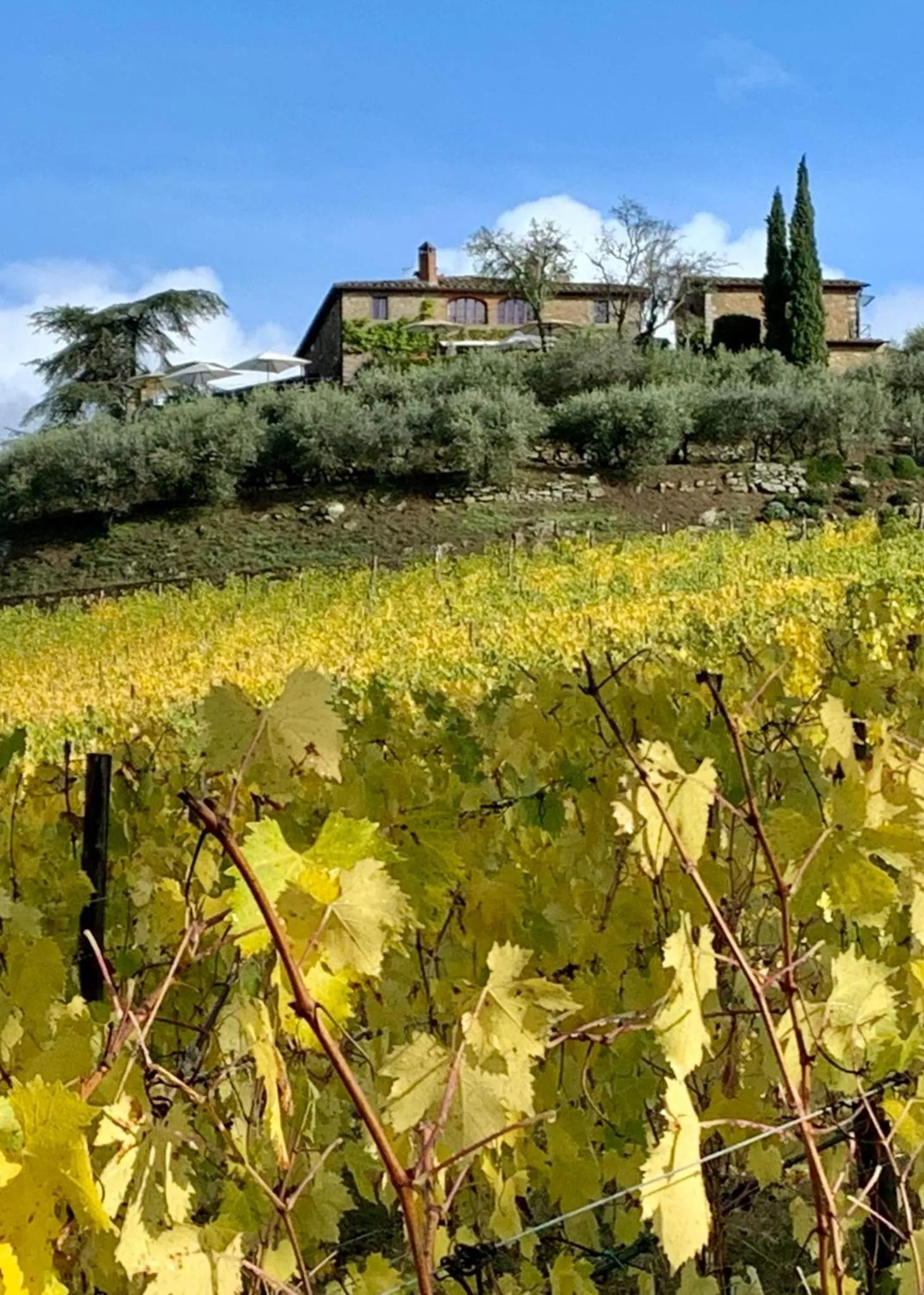 View (from property/room) in Capannelle Wine Resort