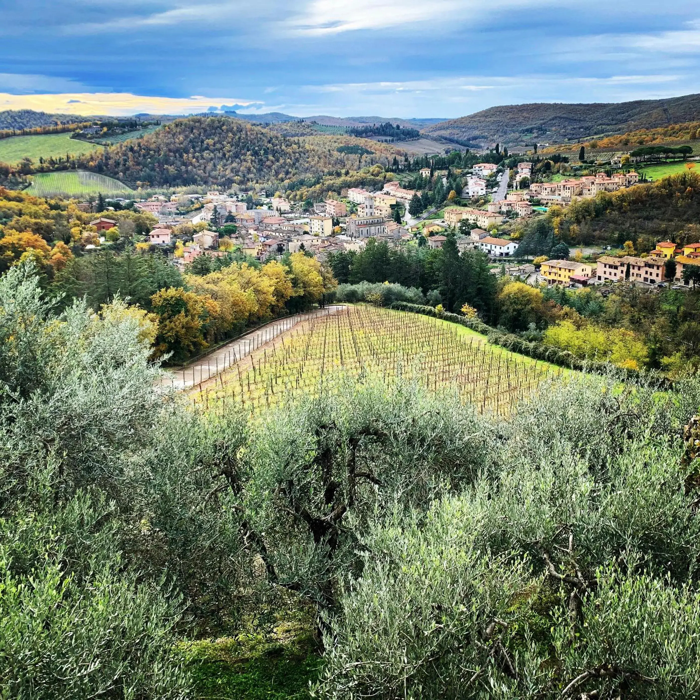Capannelle Wine Resort Capannelle Wine Resort