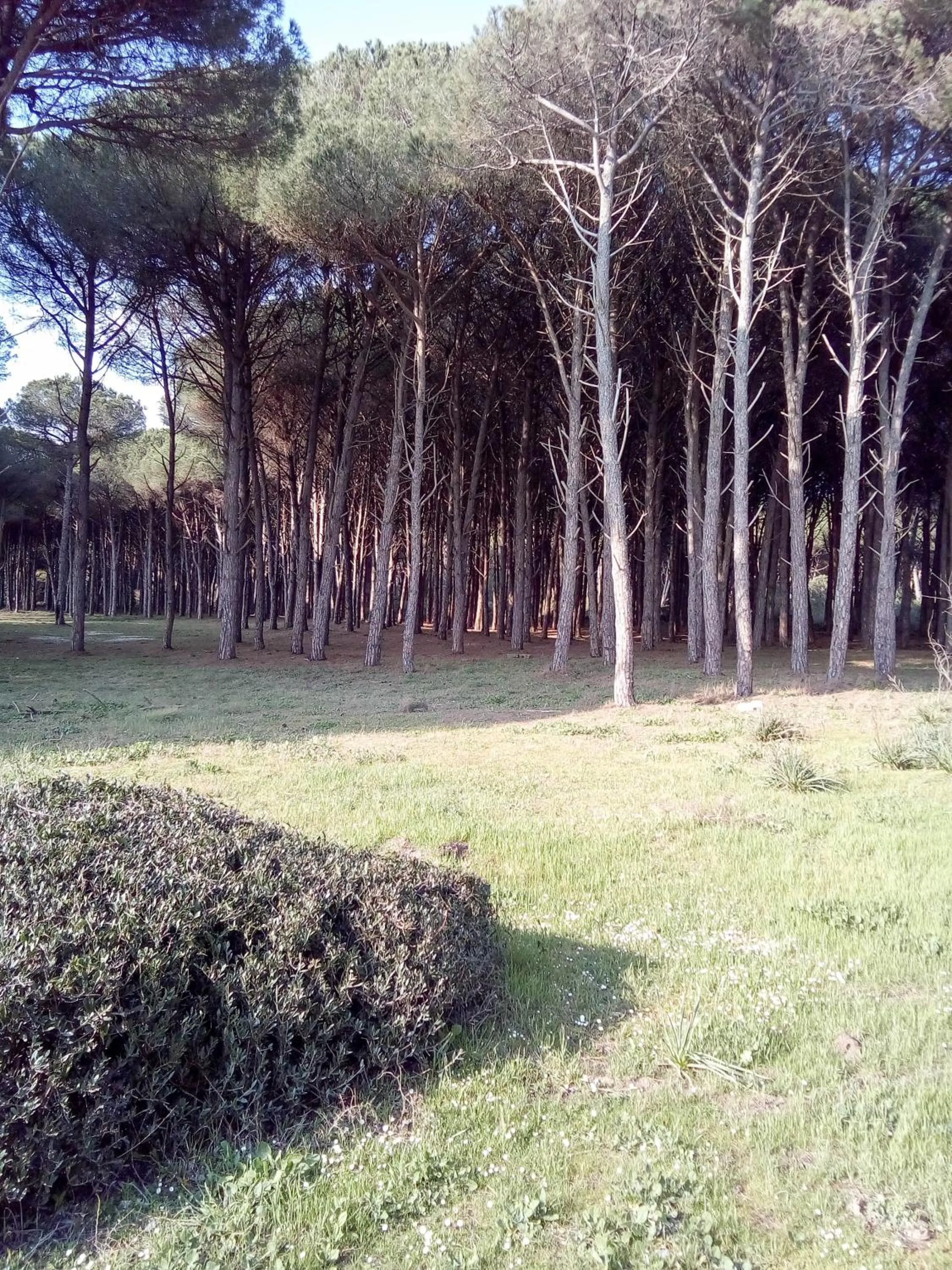 Beach in Hotel Grazia Eboli