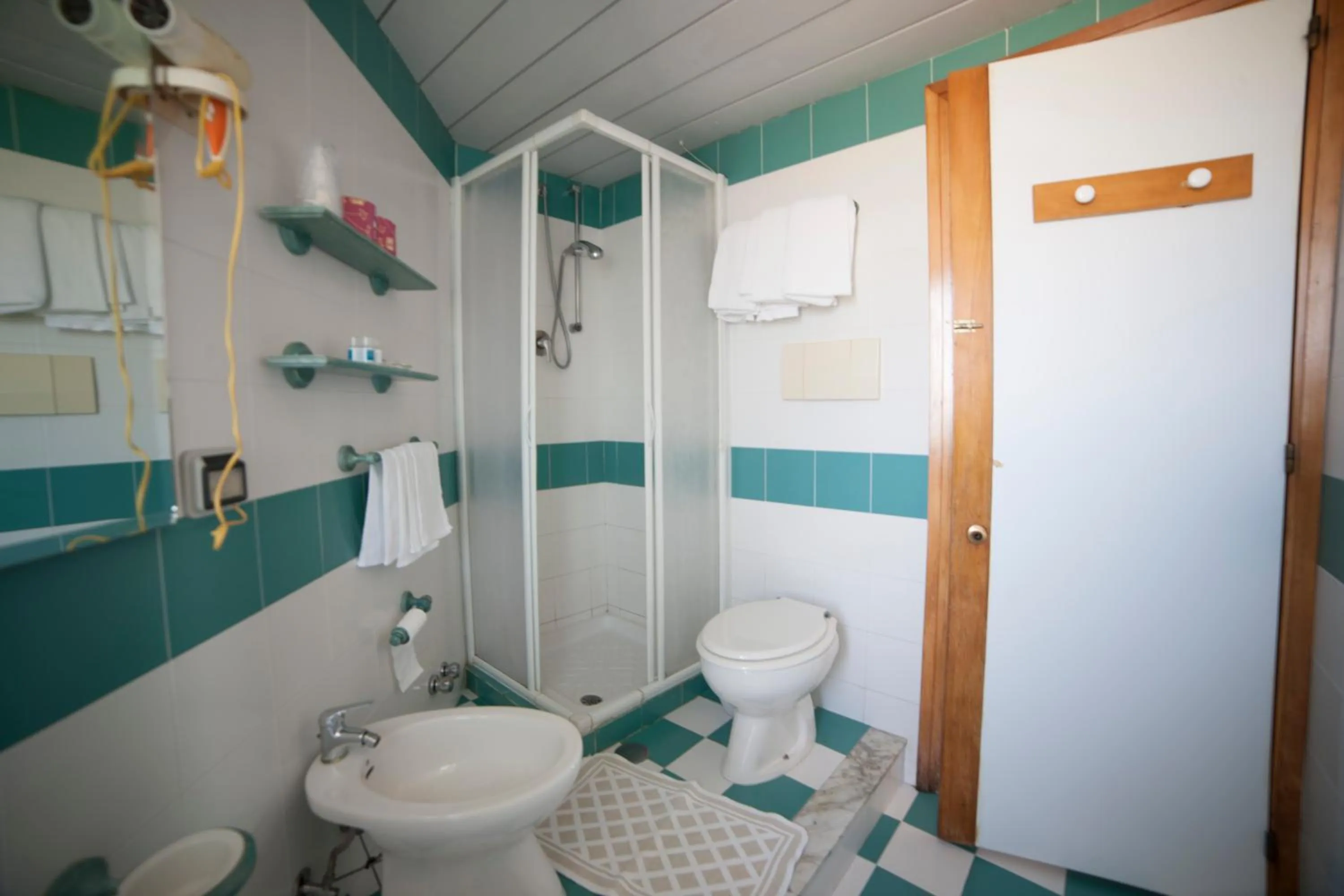 Garden in Hotel Nettuno