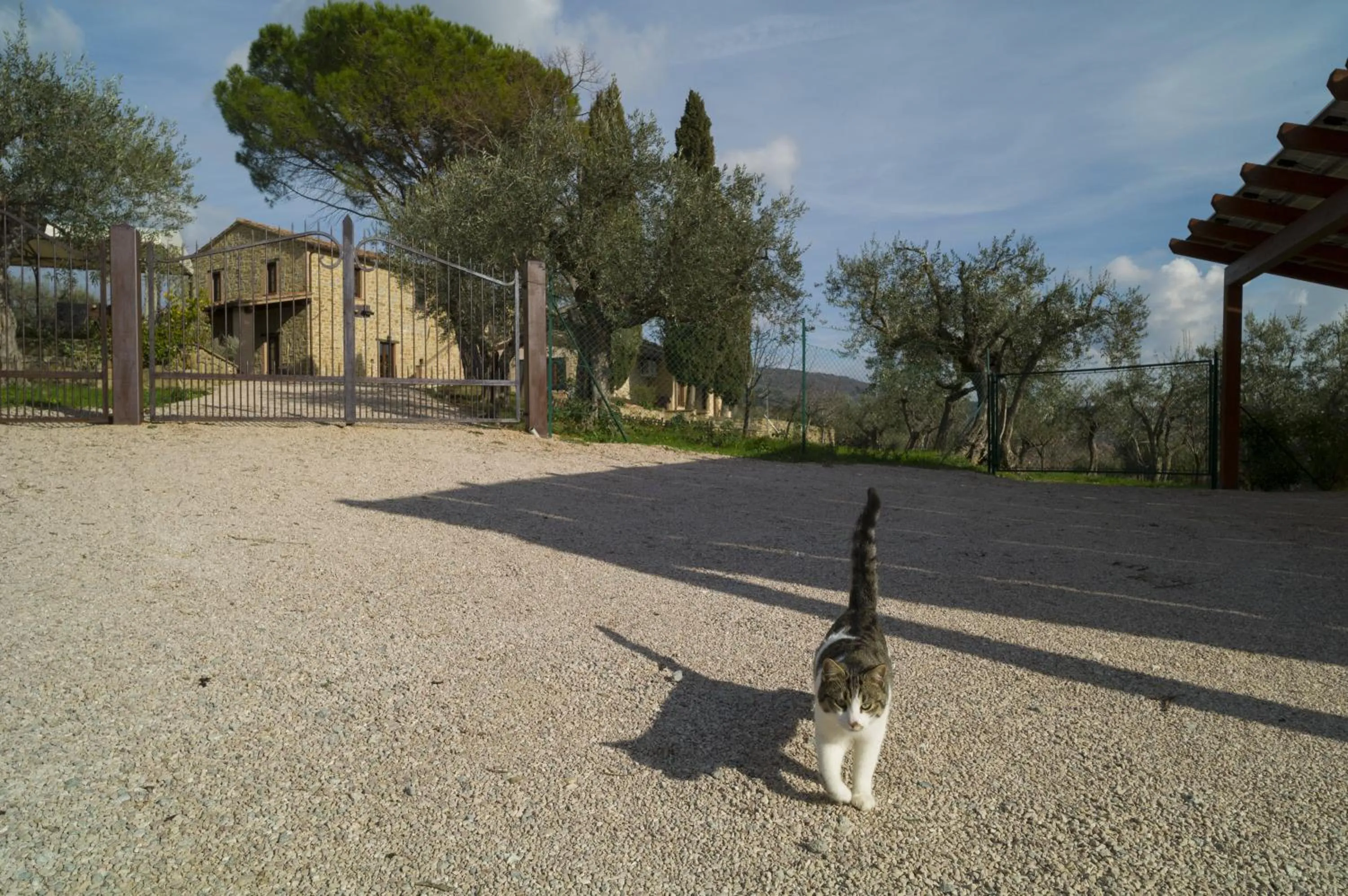 Pets in Antico Casale Tiravento