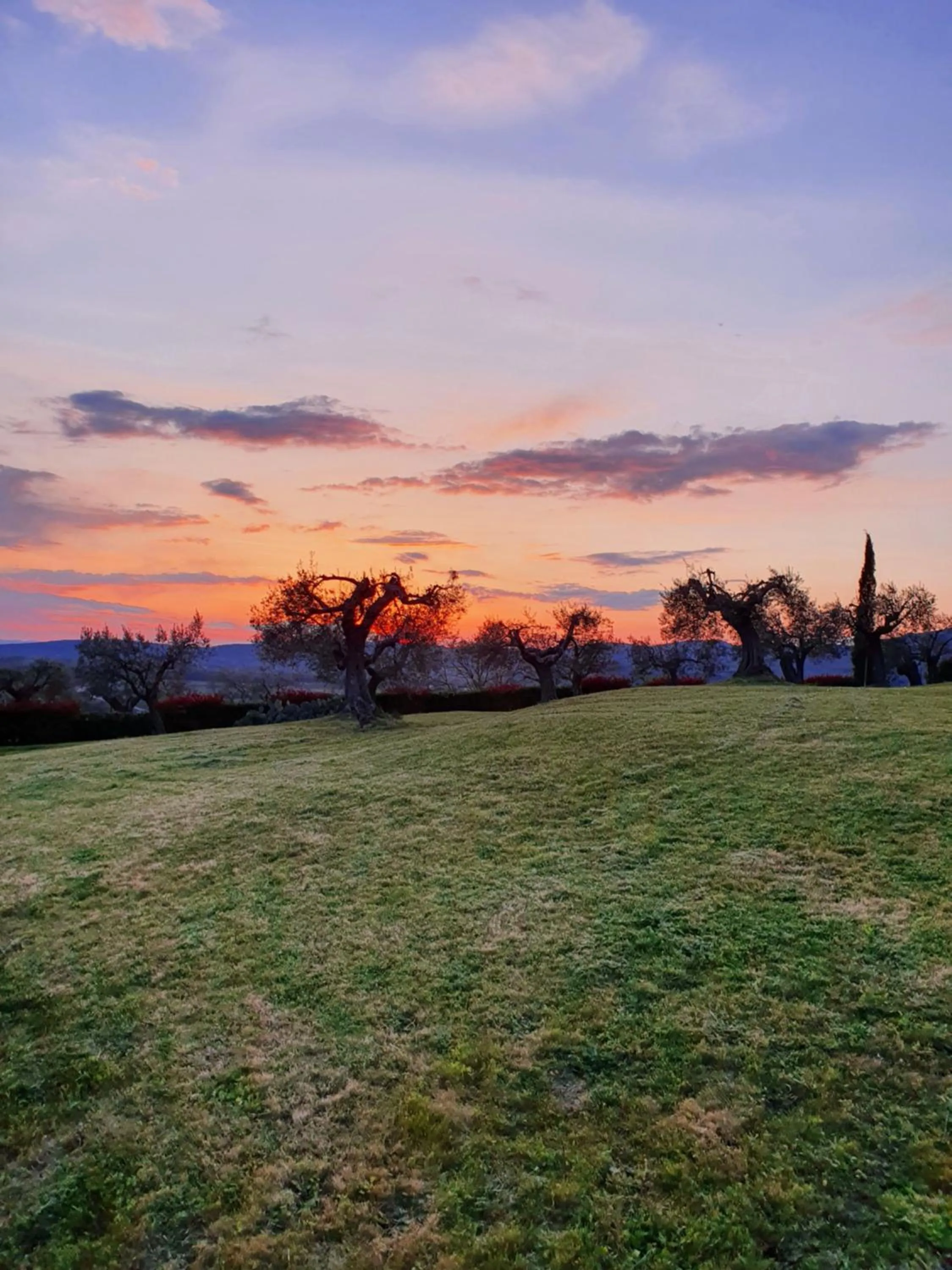 Garden in Antico Casale Tiravento