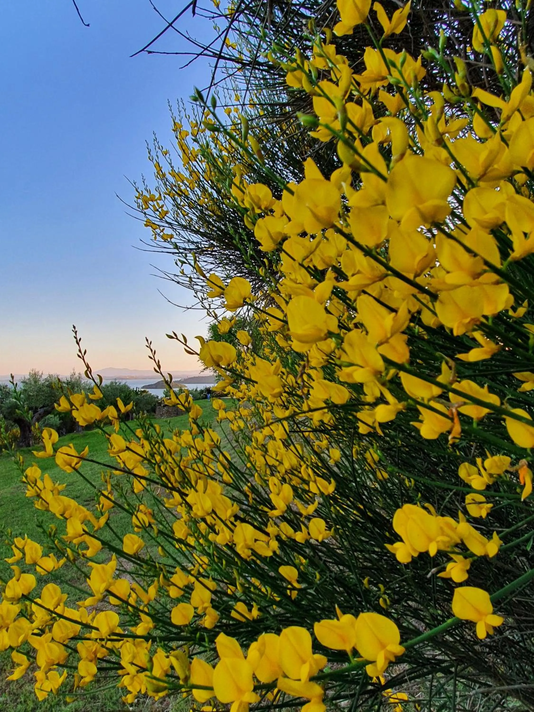 Natural landscape in Antico Casale Tiravento