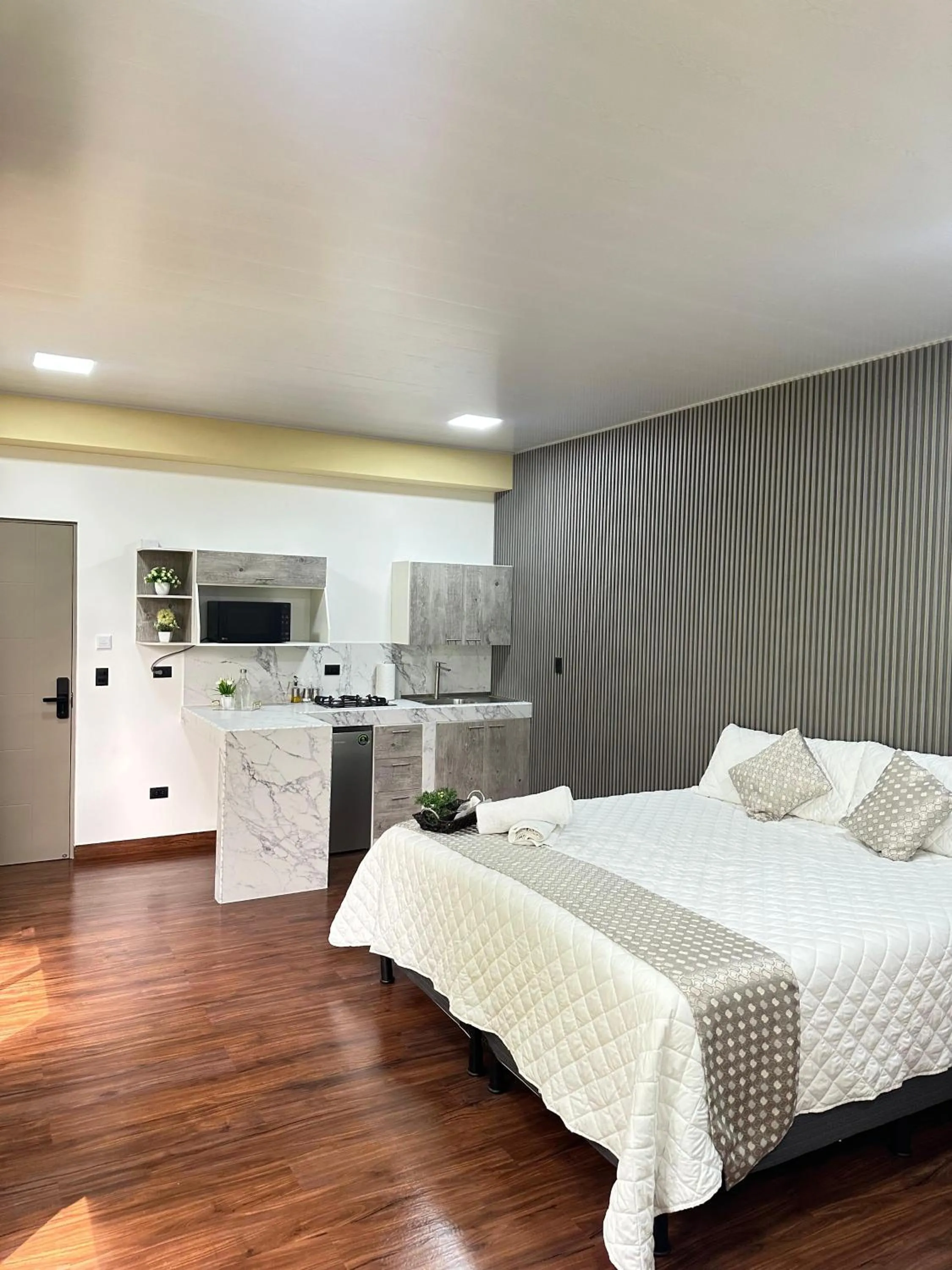 Deluxe King Studio - single occupancy in Villa Las Flores