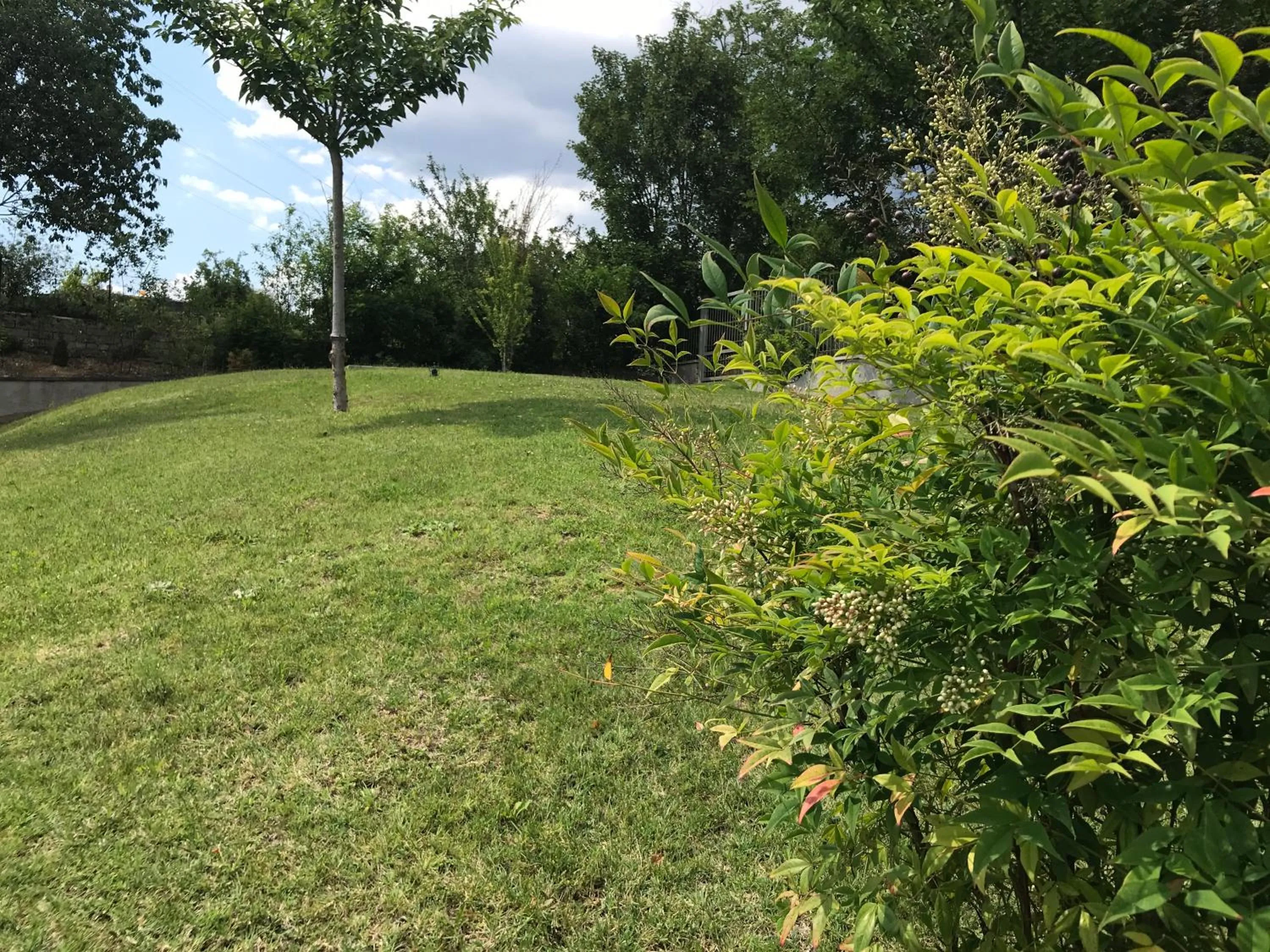 Garden in B&B Oasi Vetoio