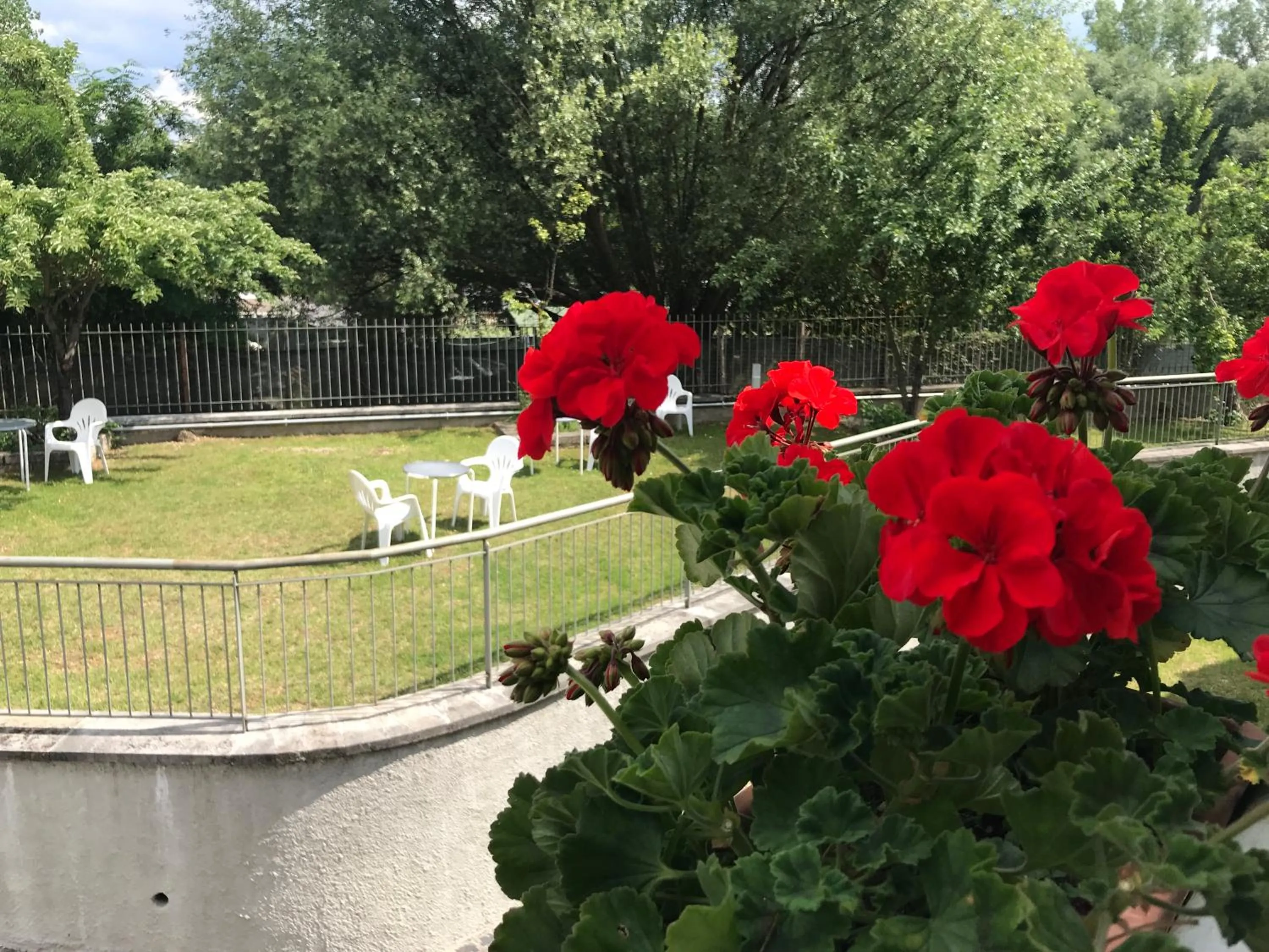 Balcony/Terrace in B&B Oasi Vetoio