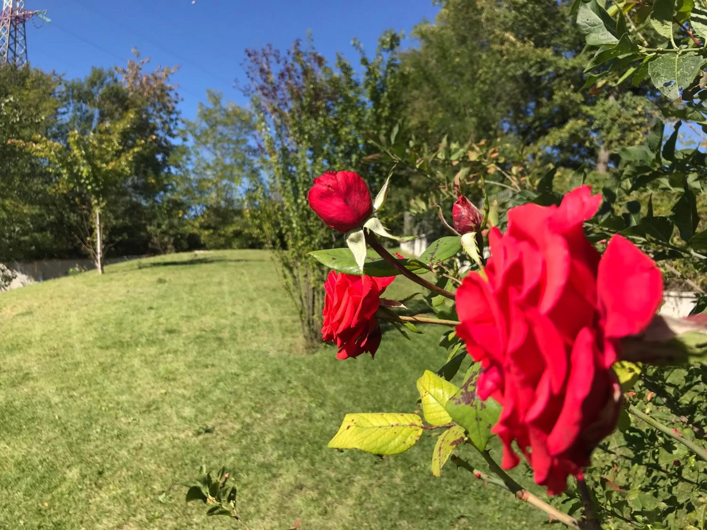Garden in B&B Oasi Vetoio