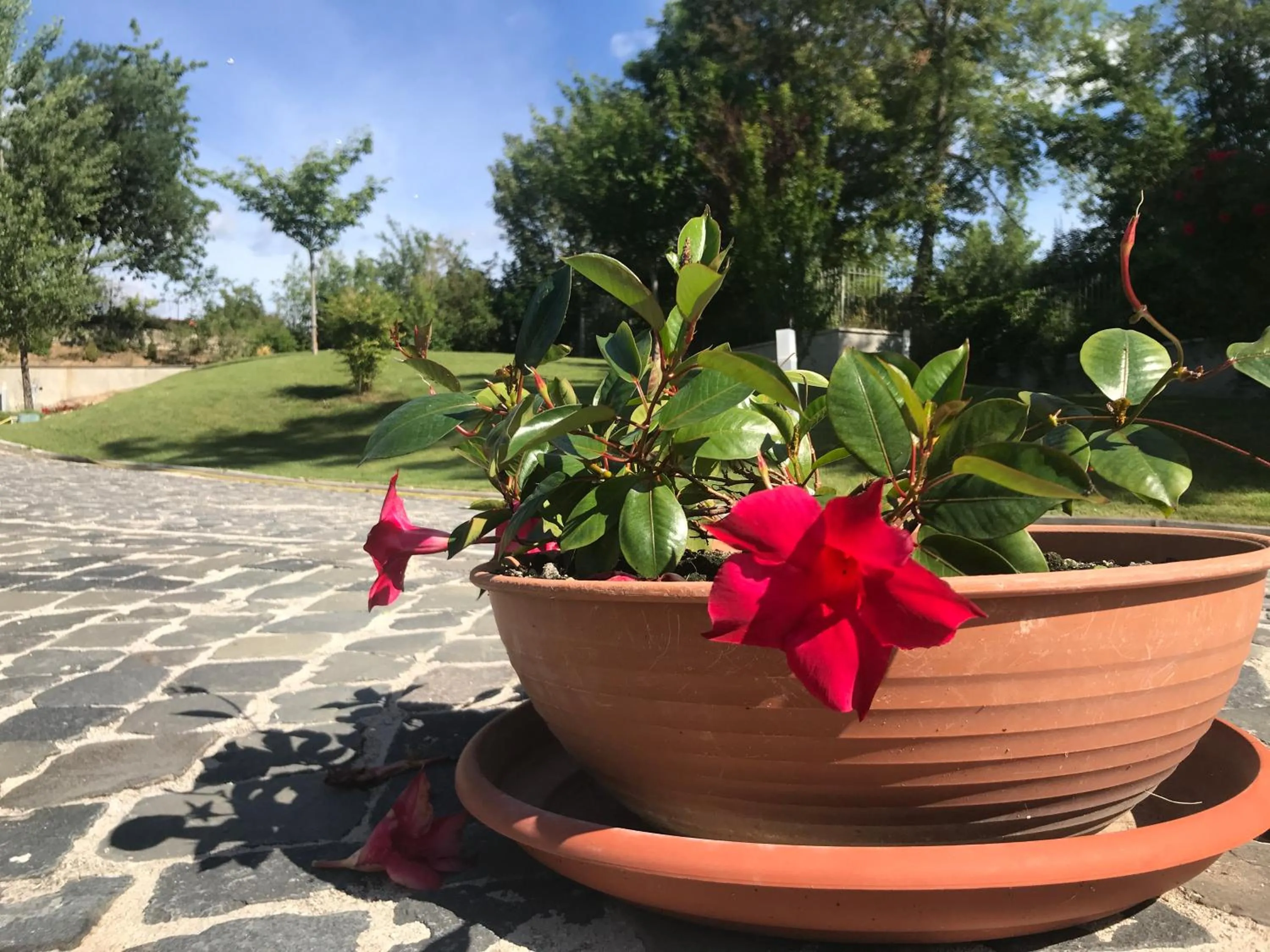 Garden in B&B Oasi Vetoio