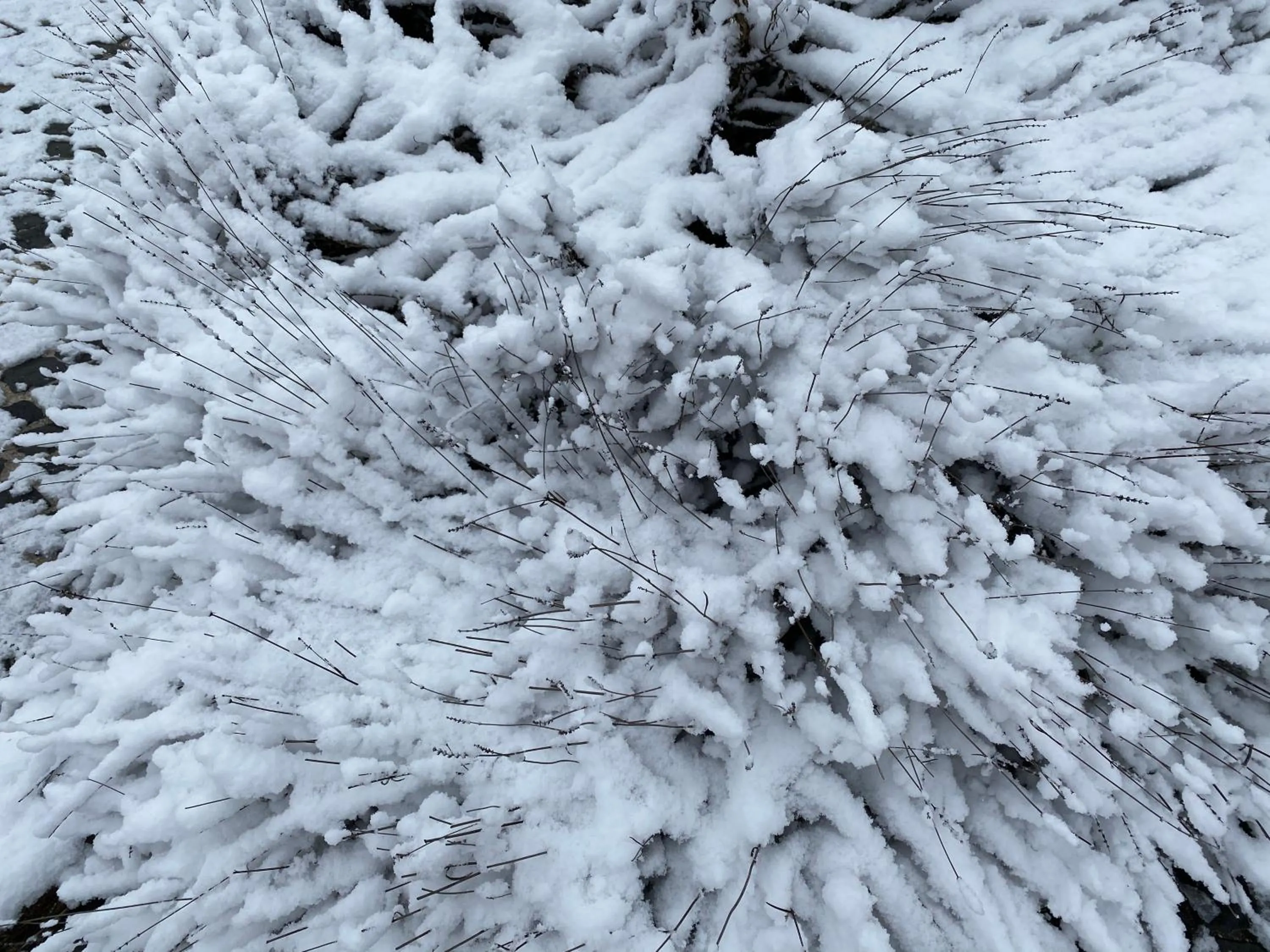 Natural landscape in B&B Oasi Vetoio