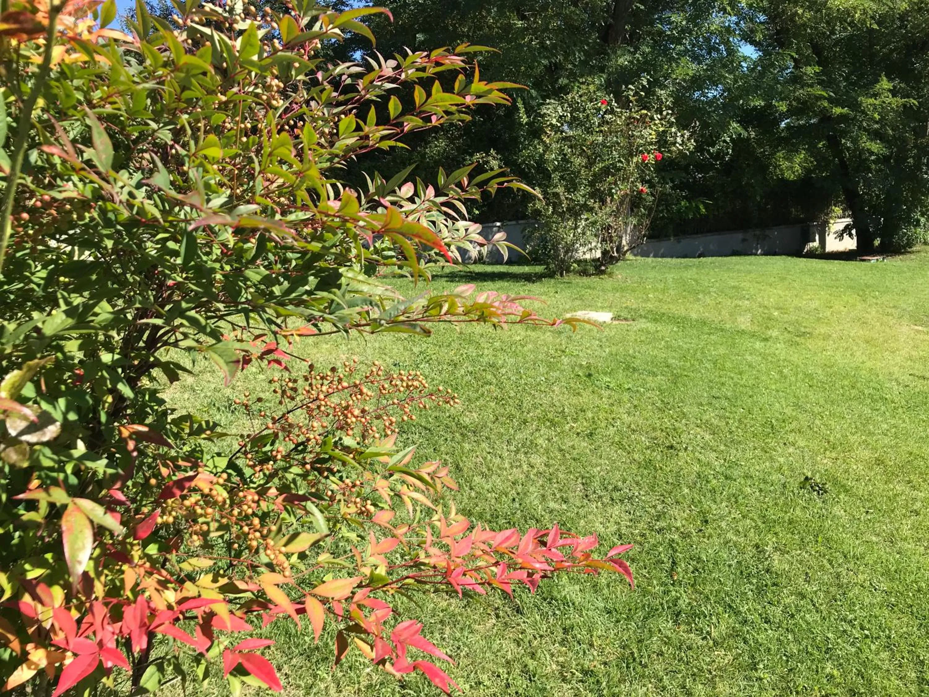 Garden in B&B Oasi Vetoio