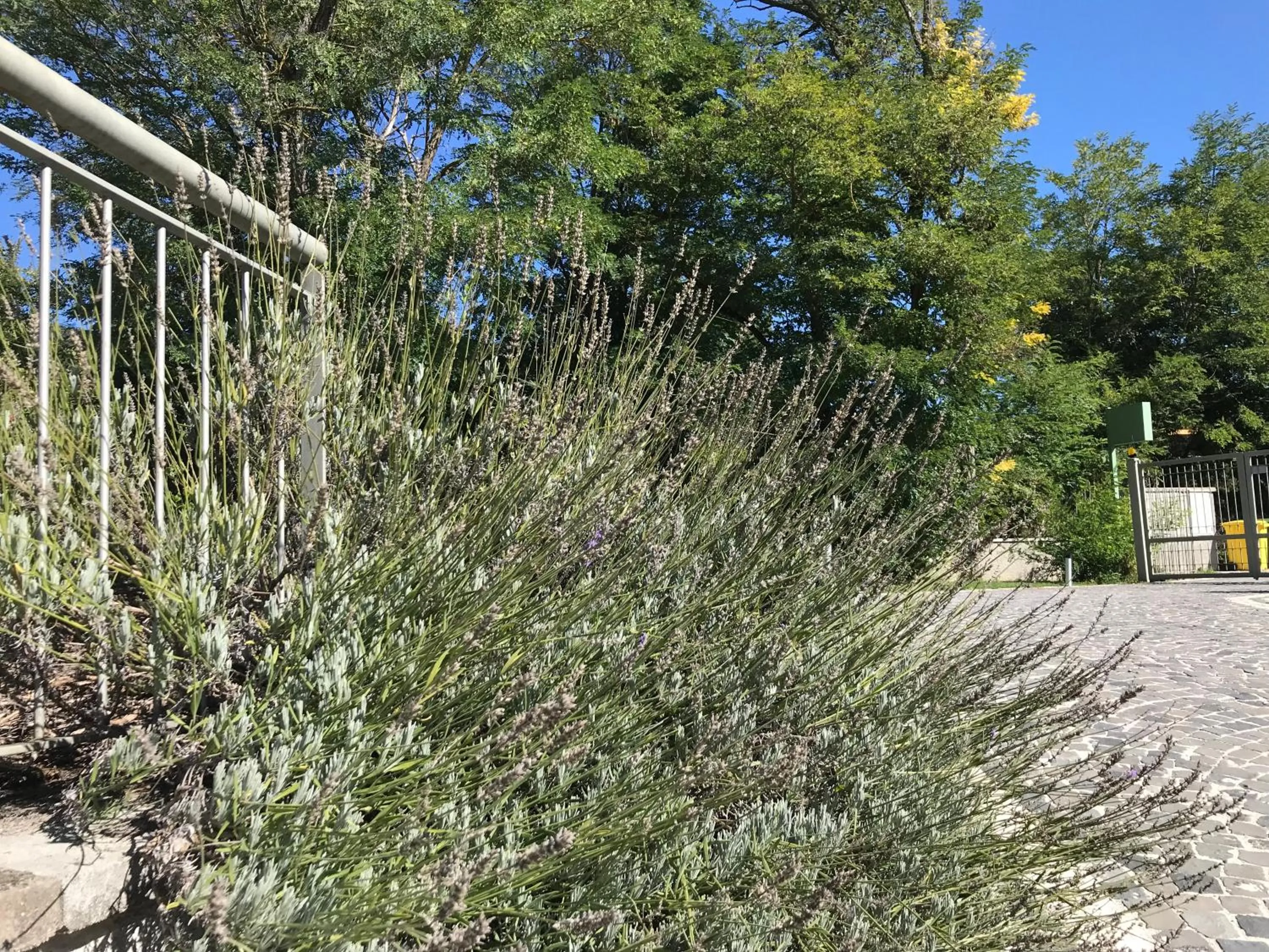 Garden in B&B Oasi Vetoio