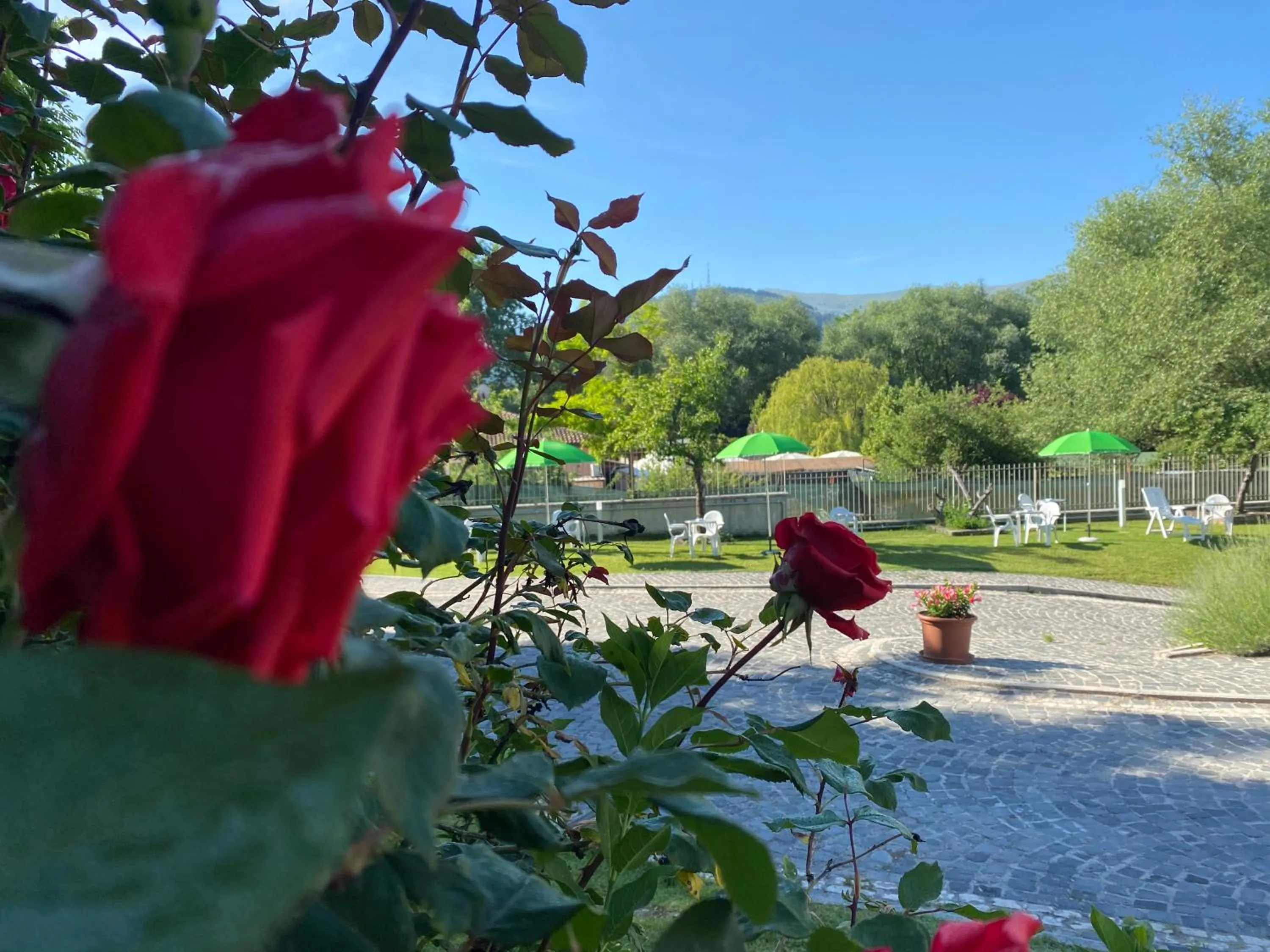 Garden in B&B Oasi Vetoio
