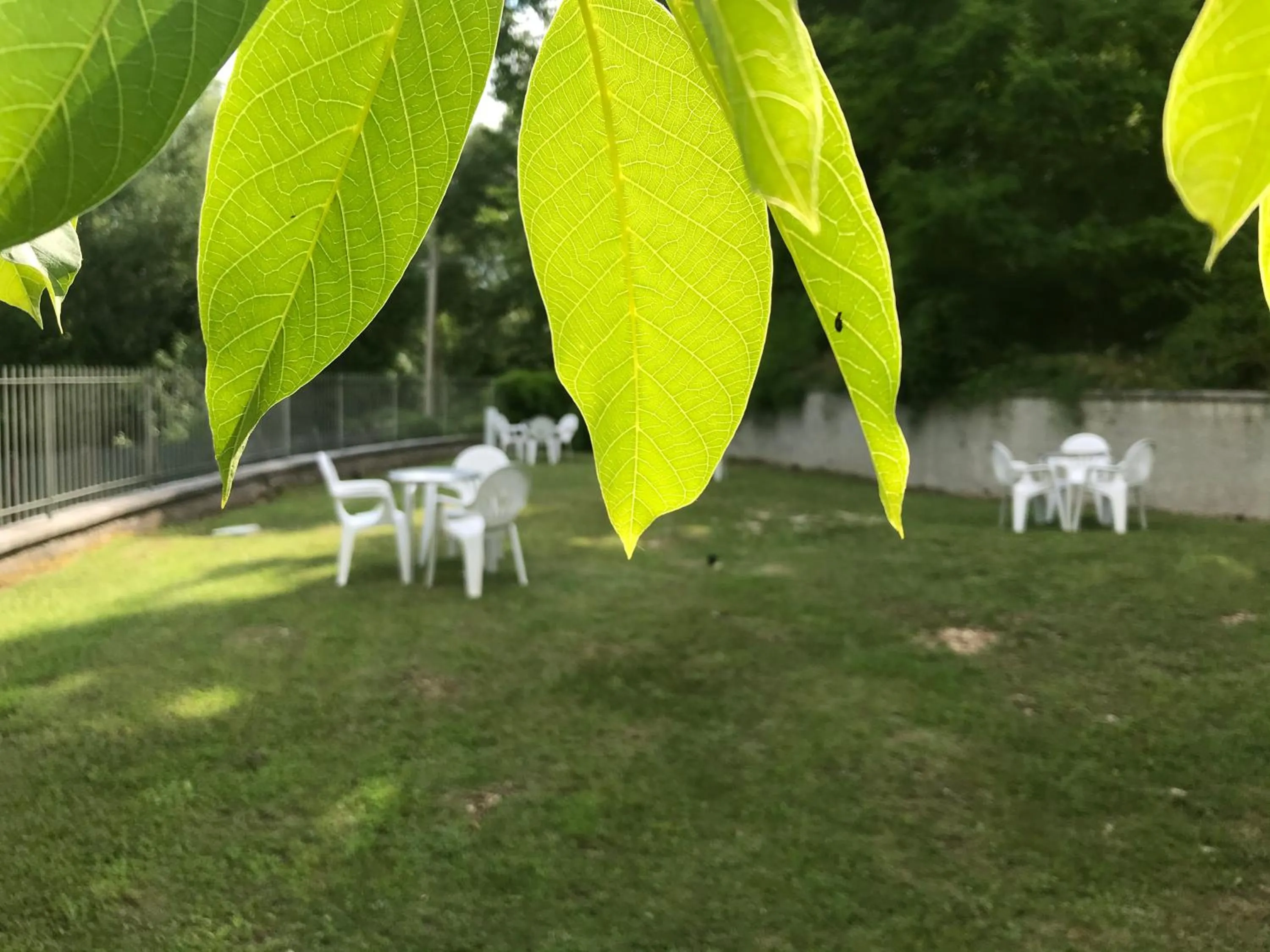 Garden in B&B Oasi Vetoio