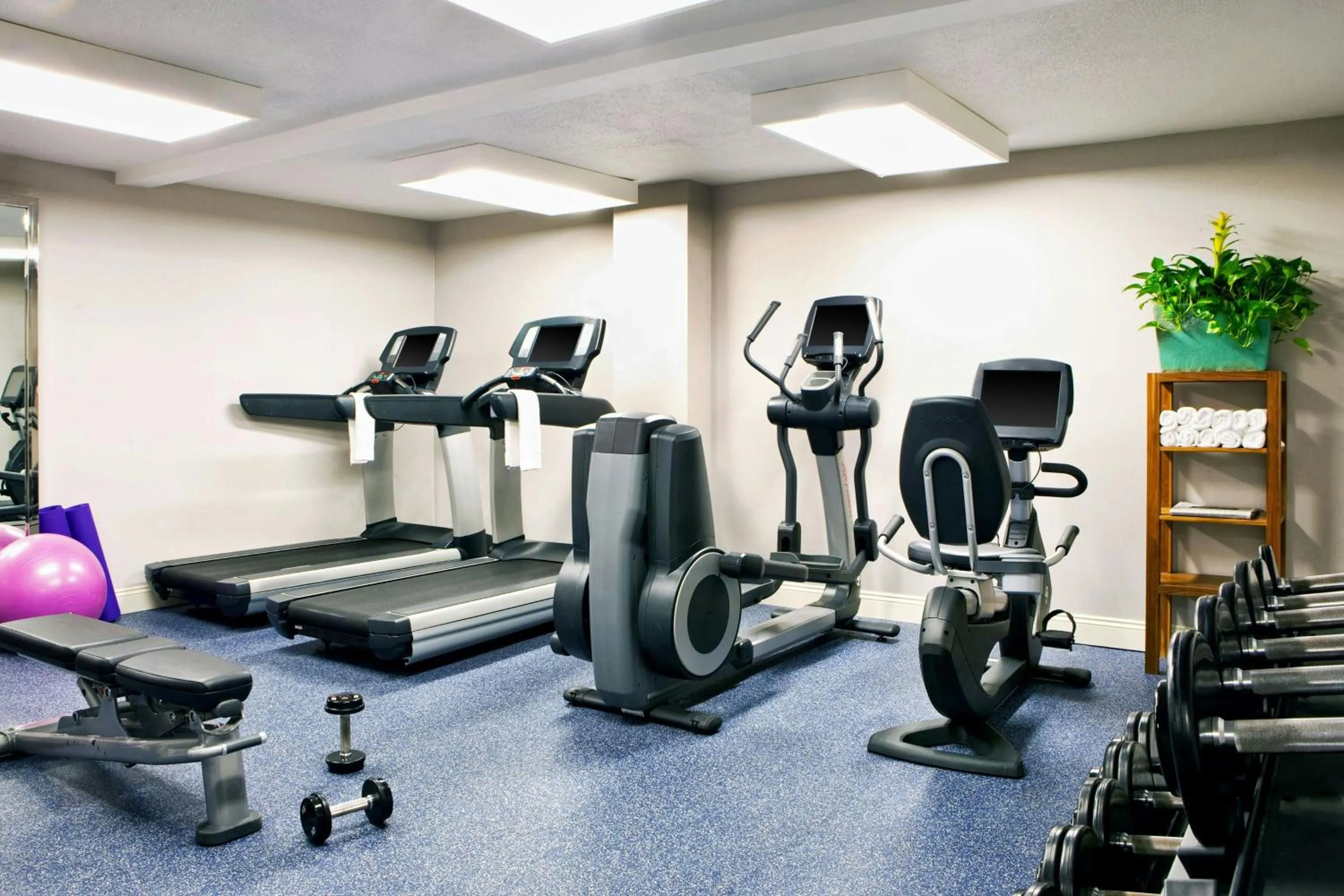 Fitness centre/facilities in Four Points by Sheraton French Quarter