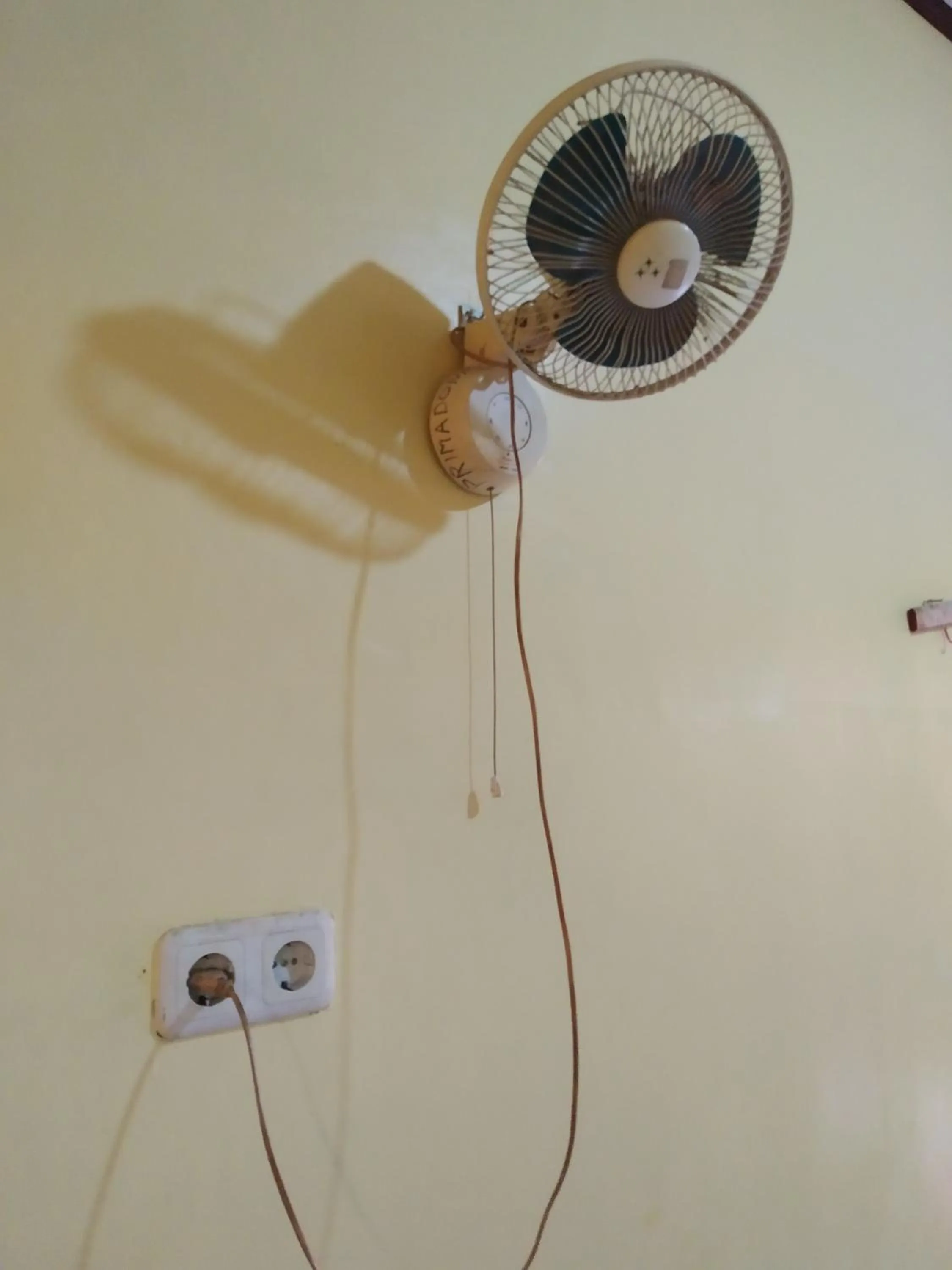 Area and facilities in Primadona Homestay