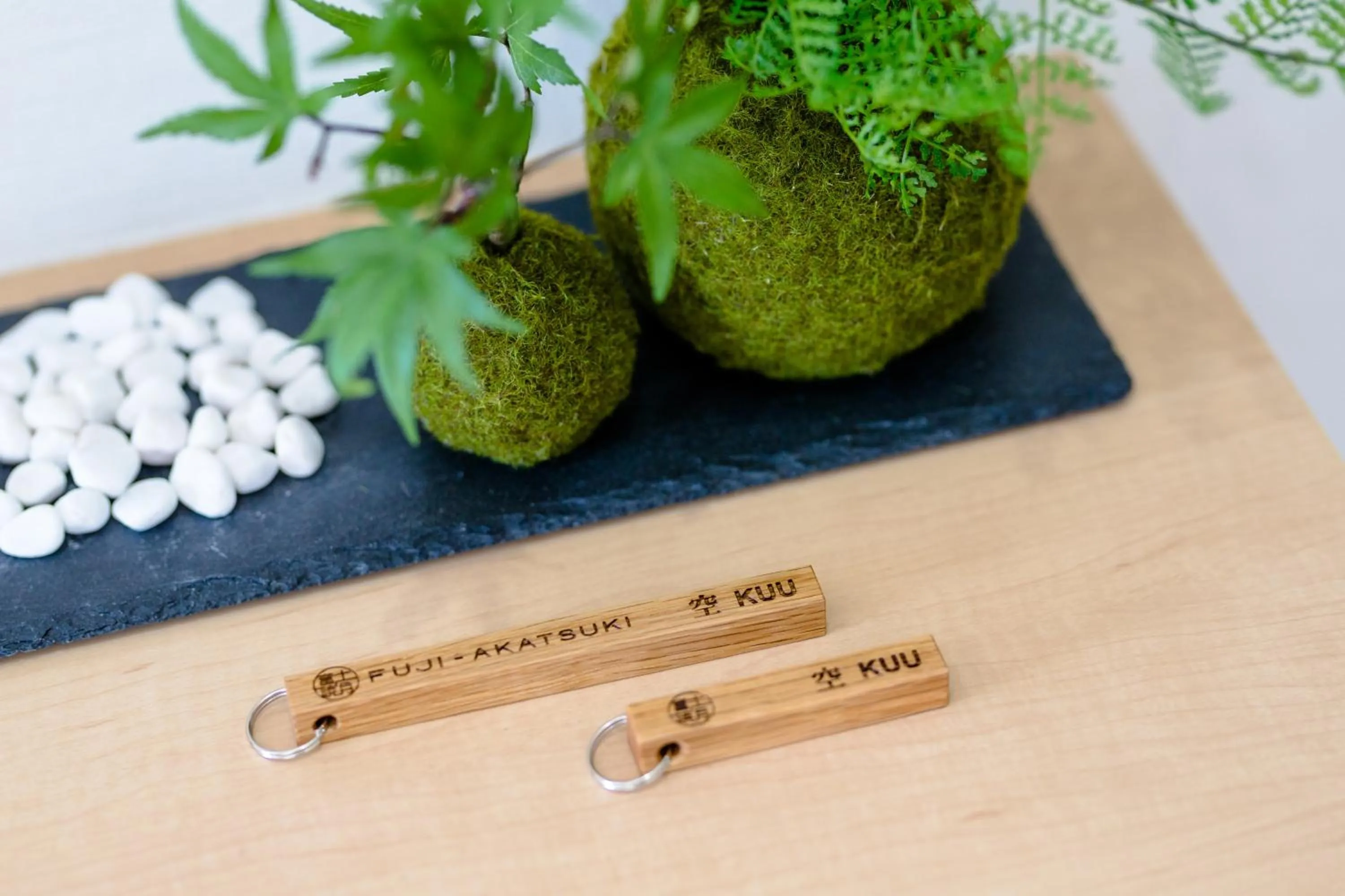 Property building in FUJI-AKATSUKI Kuu