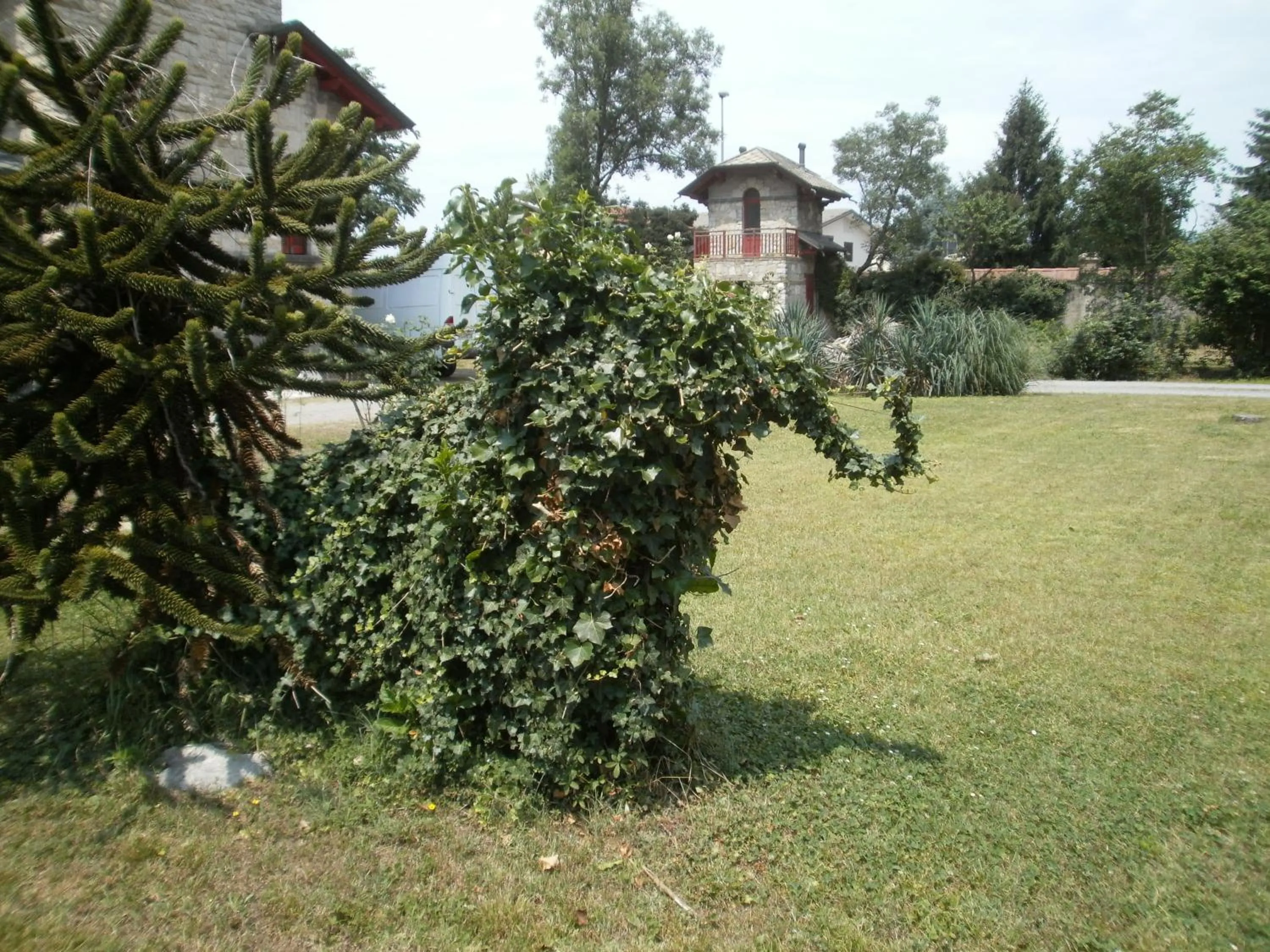 Garden in Albergo Villa & Roma