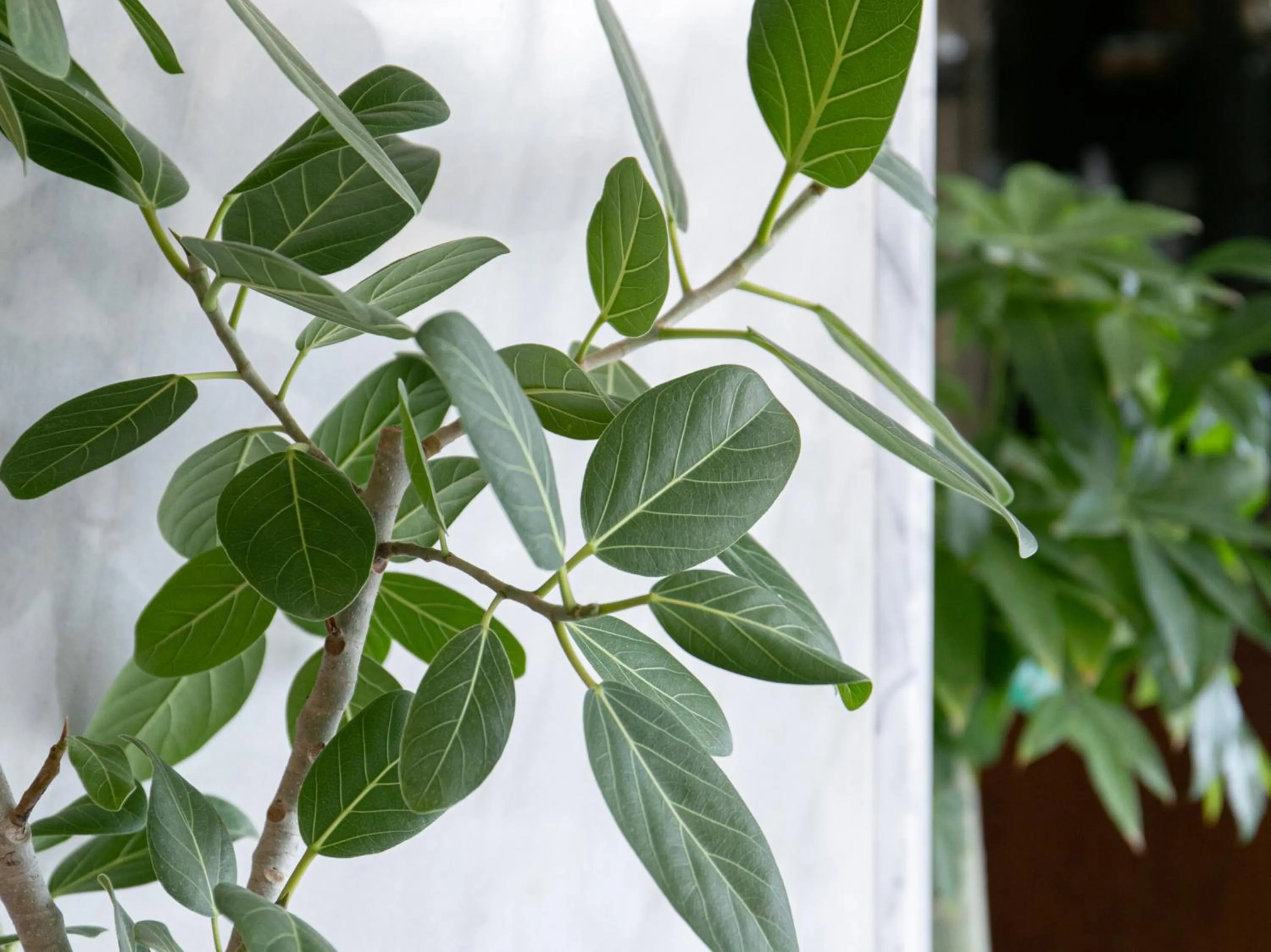 Area and facilities in Tabist New World Hotel Kagoshima Kanoya