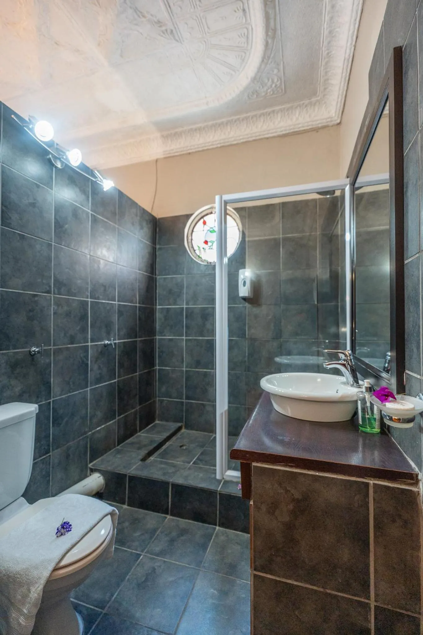 Shower in Palm Tree Manor