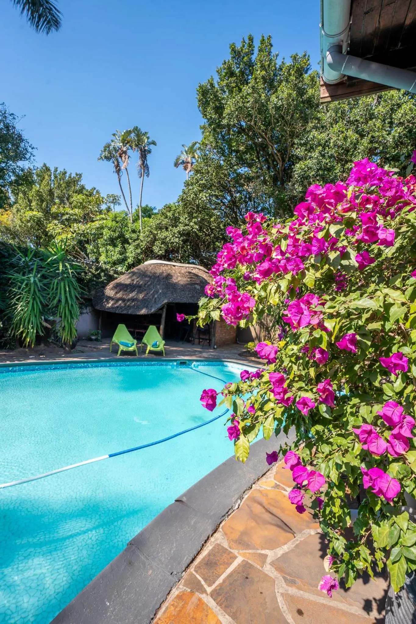 Pool view in Palm Tree Manor