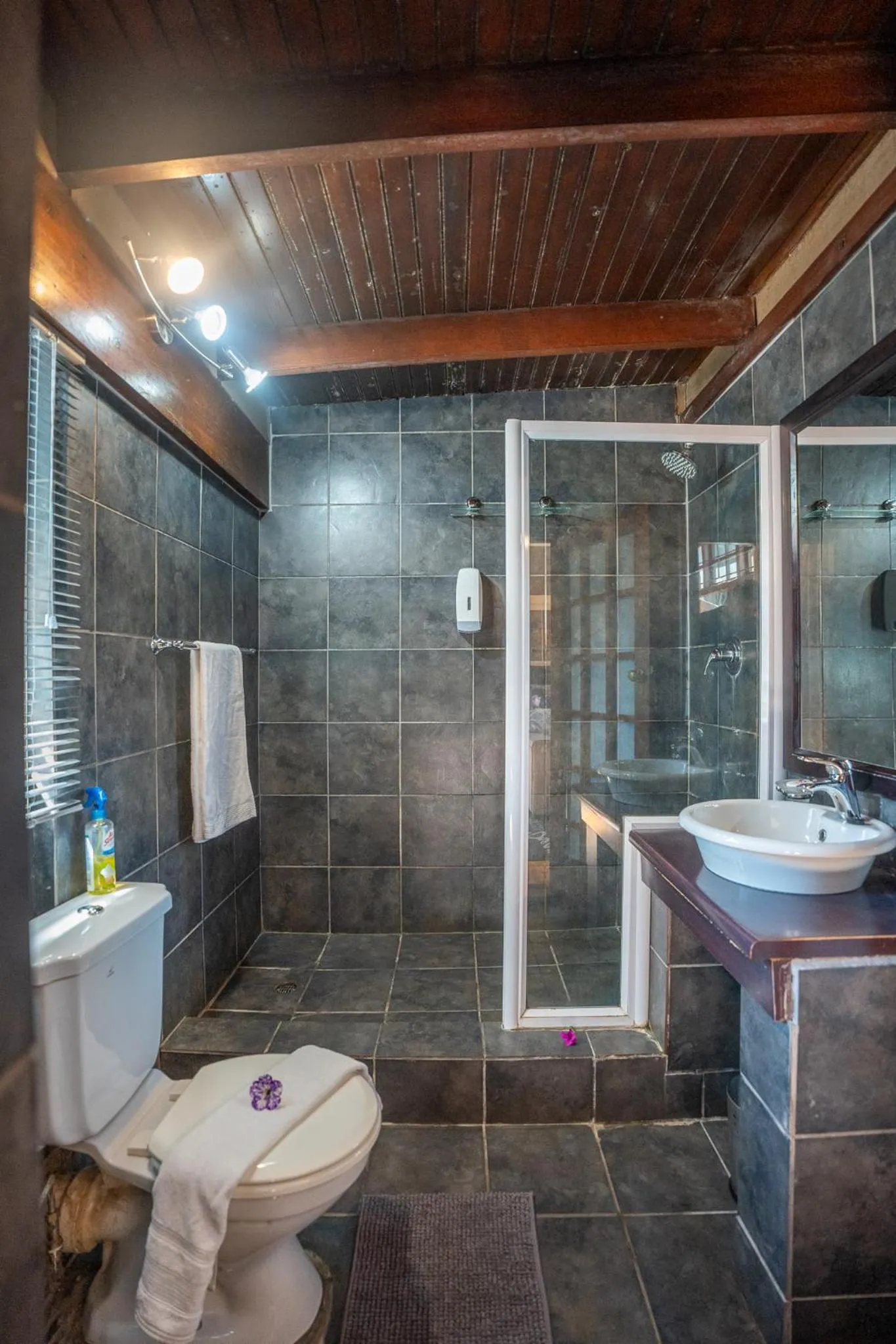 Shower in Palm Tree Manor