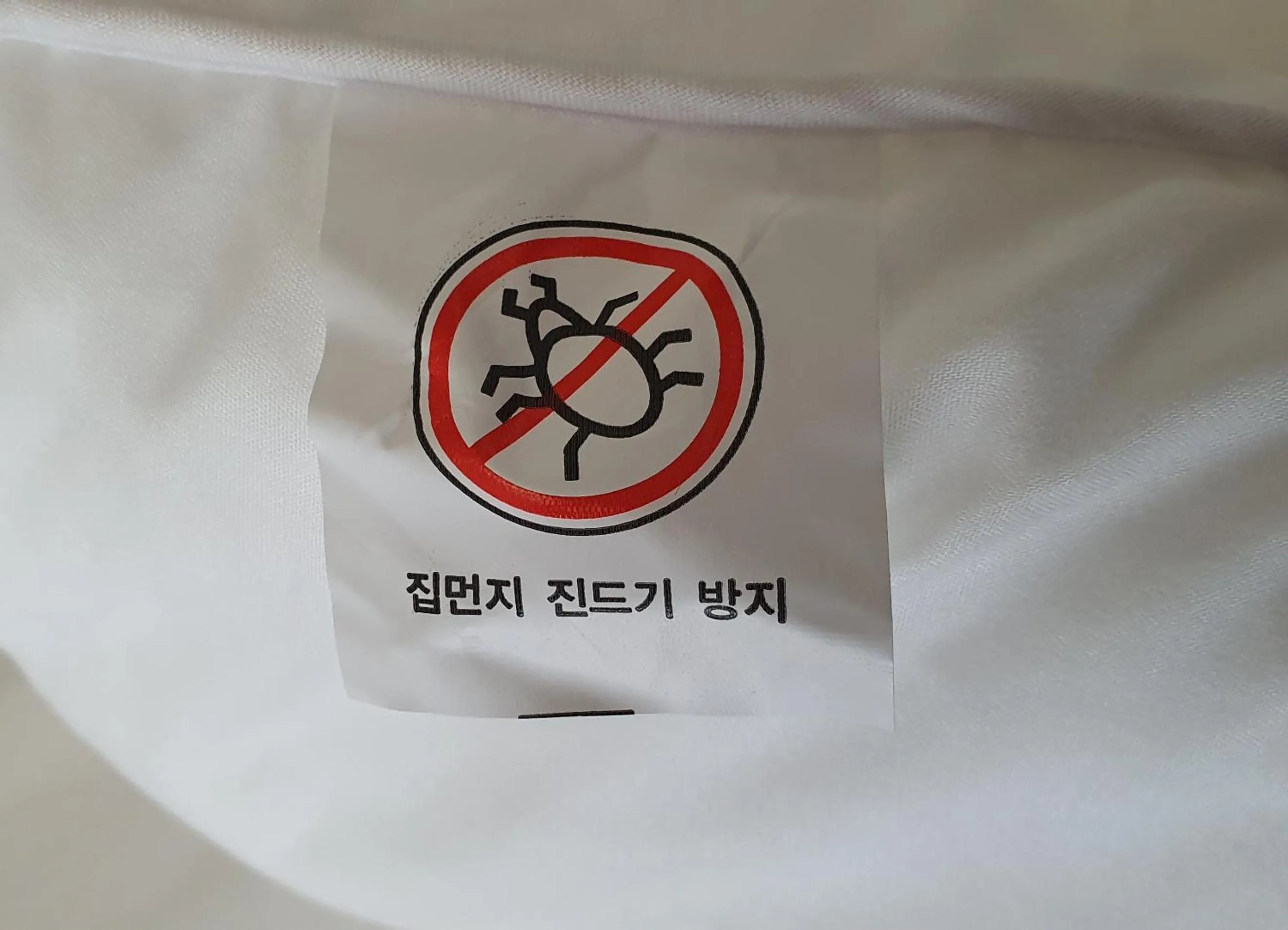 Logo/Certificate/Sign in Treehouse