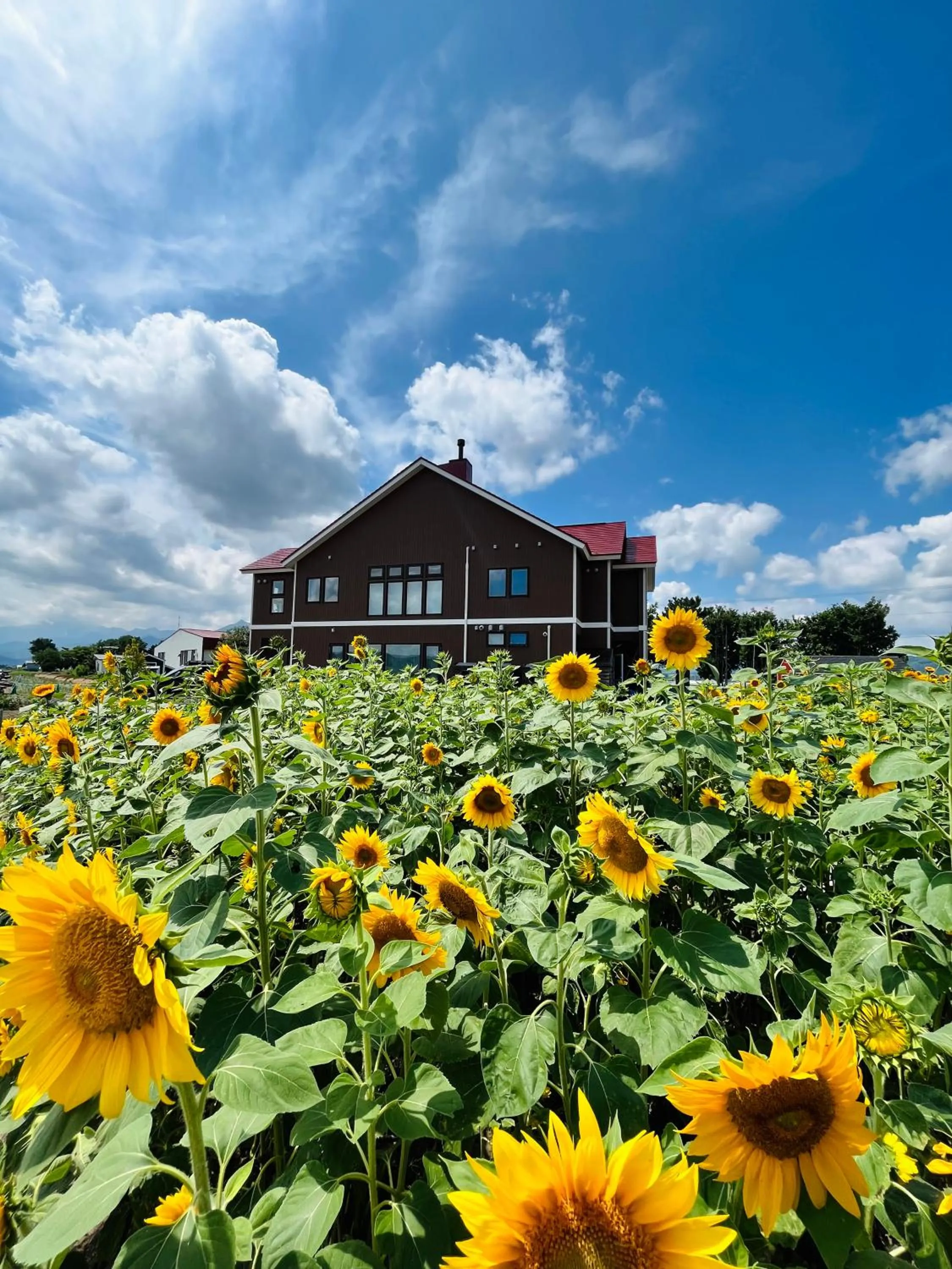 Property building in Shooting Star the Bed & Breakfast
