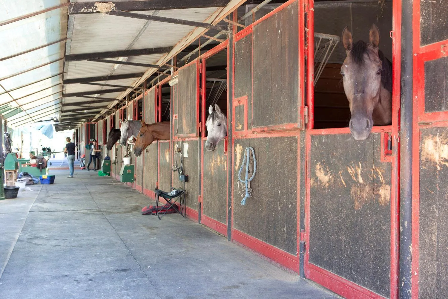 Horse-riding in Assia Spa