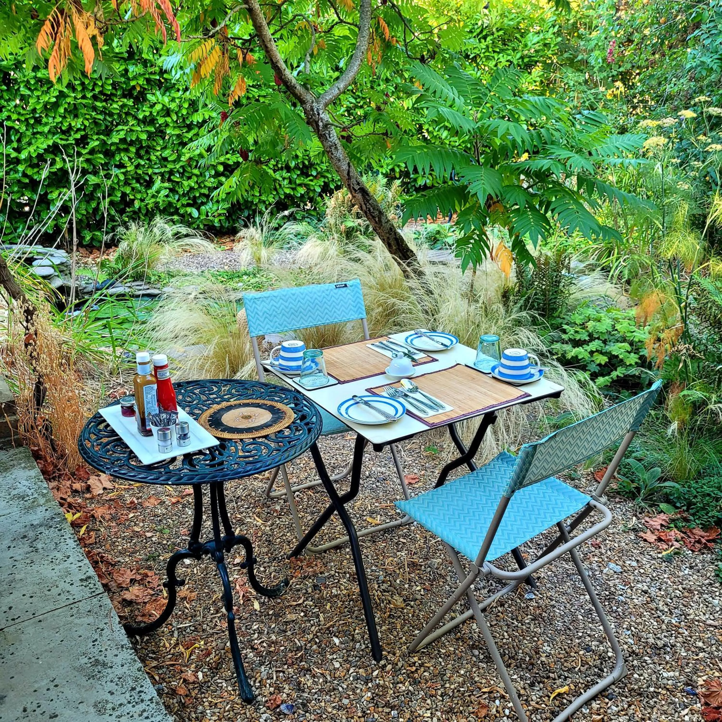Garden in The Old School B&B