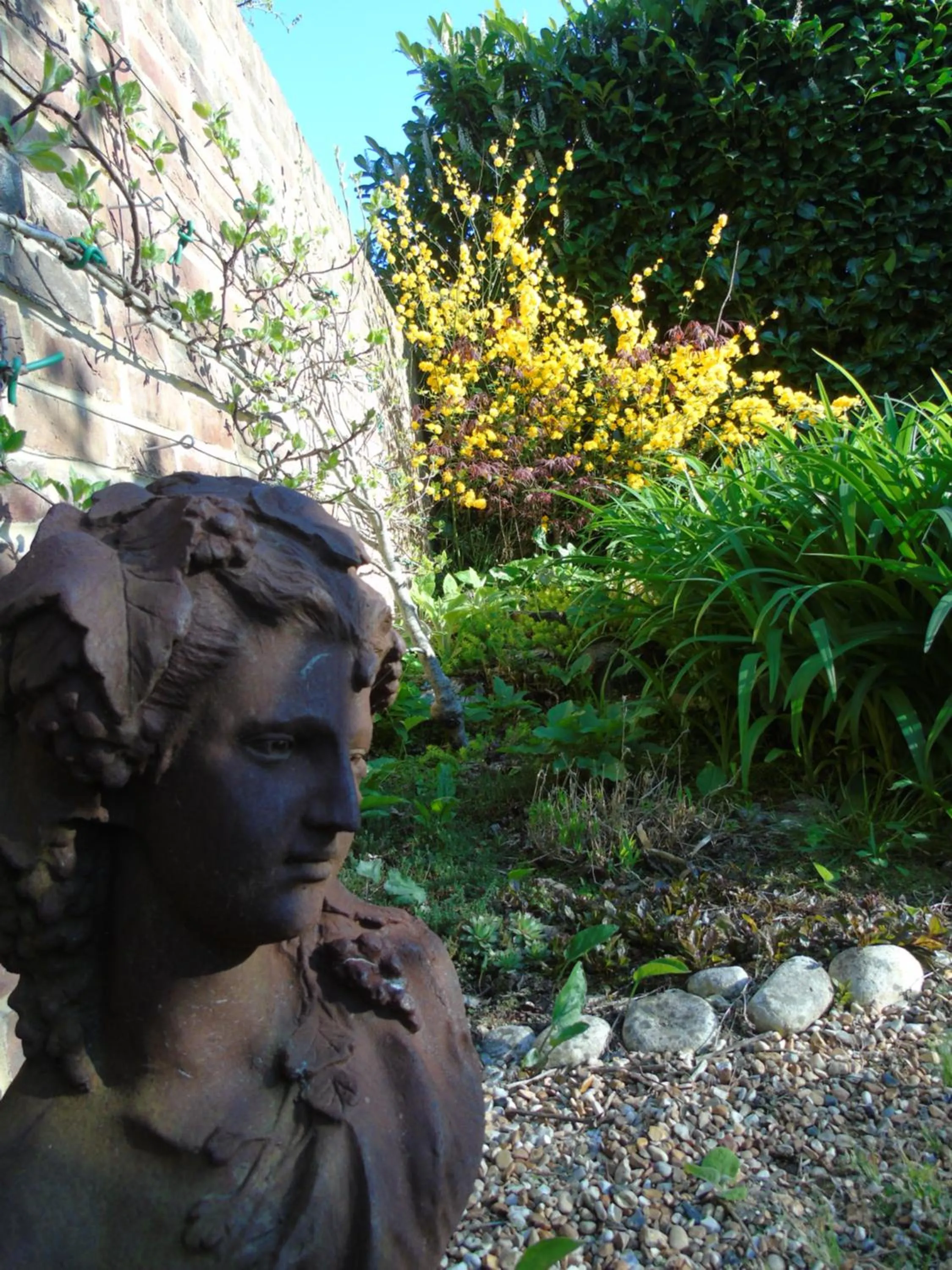 Garden view in The Old School B&B