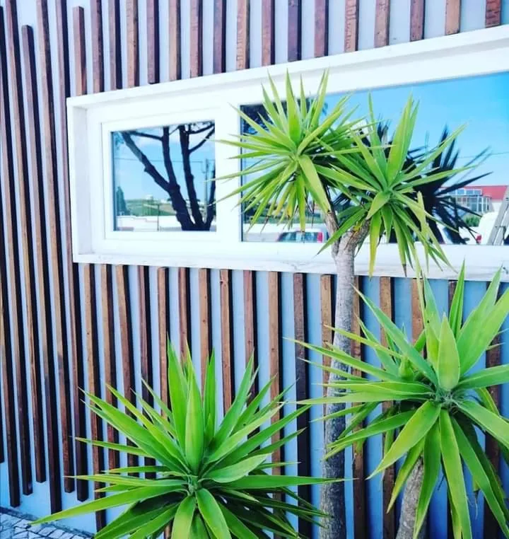 One-Bedroom Apartment - single occupancy in Furnaka Eco Village